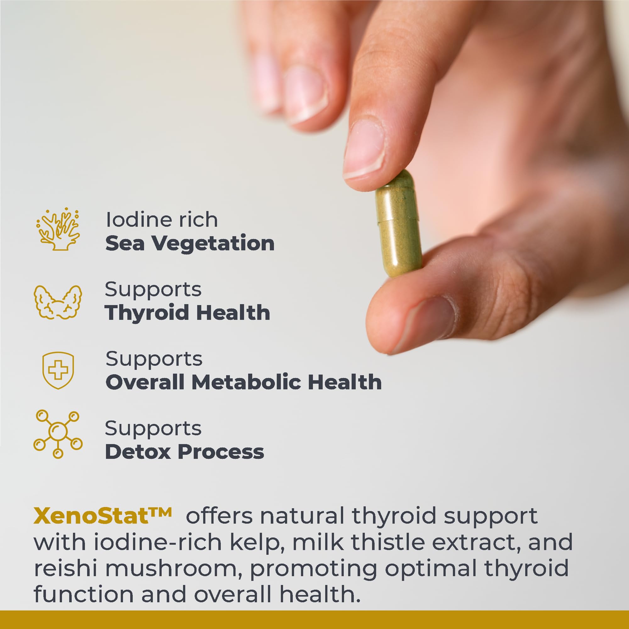 Premier Research Labs XenoStat - Thyroid Supplement, Thyroid Support for Women & Men, Iodine Supplement, Hormone Support, Thyroid Support Complex Supplement - 90 Capsules Premier Research Labs buy supplements canada