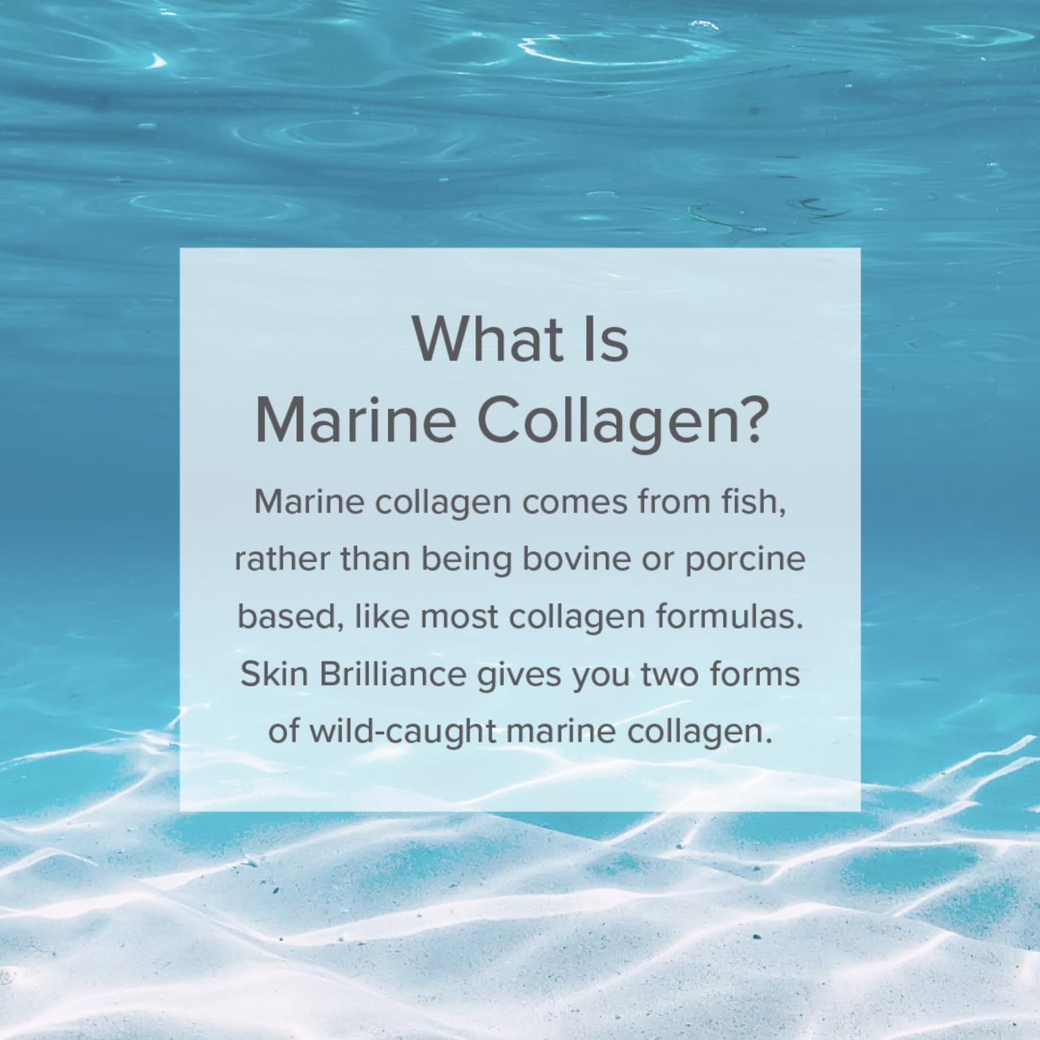 Serovital Skin Brilliance Marine Collagen – Hydrolyzed Marine Collagen Peptides Serovital buy supplements canada