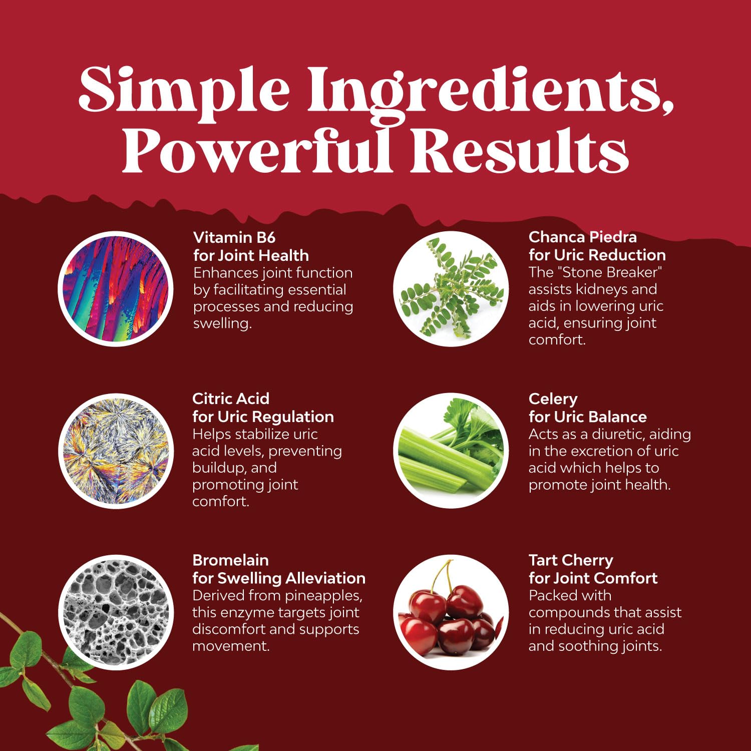 Tart Cherry Capsules for Joint Support and Kidney Cleanse - Daily Uric Acid Detox and Cleanse Natures Craft buy supplements canada