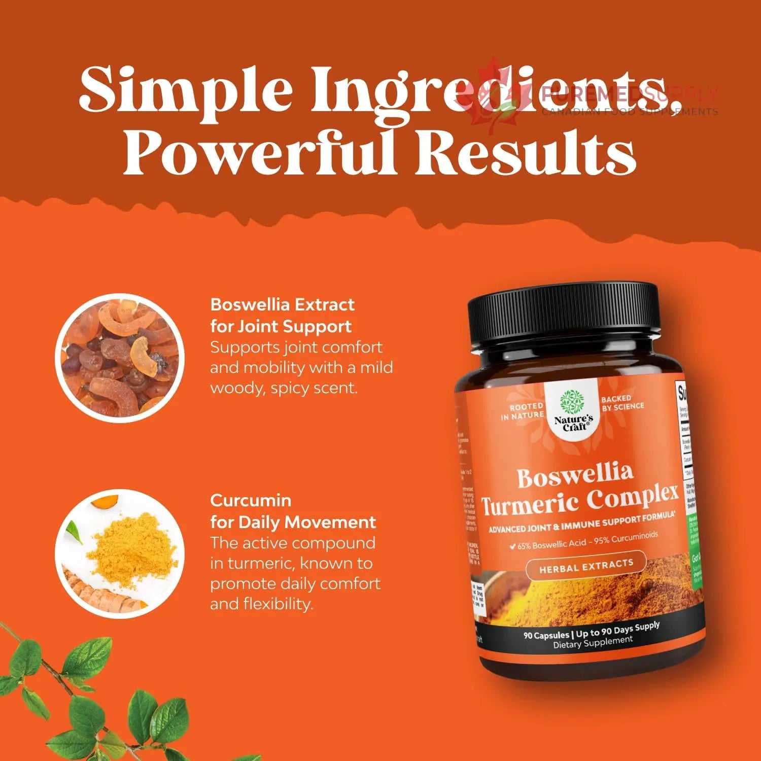 Boswellia Extract Capsules with Turmeric - Advanced Immune Health Support Supplement - Turmeric & Boswellia Serrata Capsules 500mg per Serving for Body Detox & Healthy Joints - 90 Count Natures Craft buy supplements canada