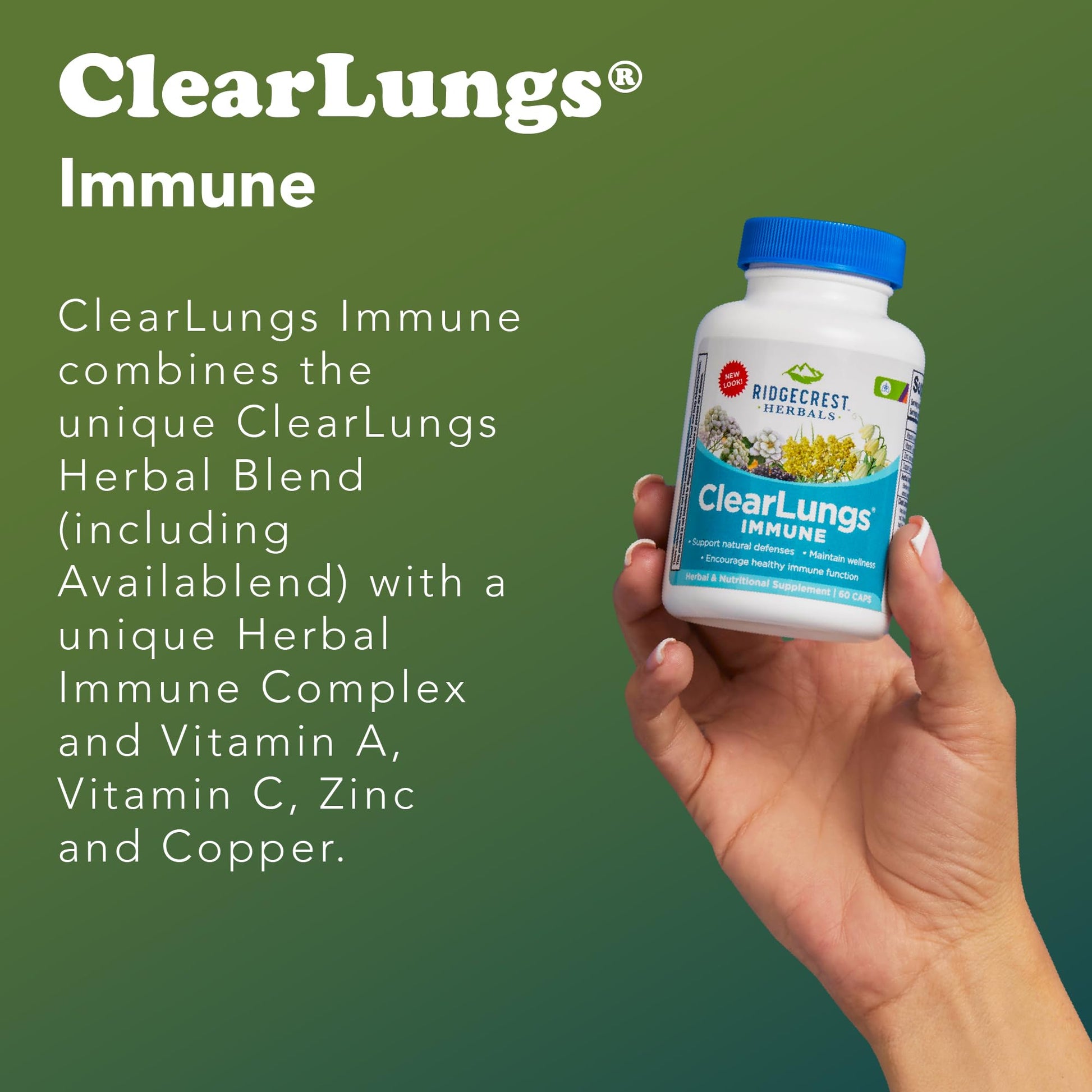 RidgeCrest Herbals ClearLungs Immune, Lung Support Supplement with Elderberry, Zinc, Vitamin C, Vitamin A, Olive Leaf, Mullein, Lung Wellness Formula for Respiratory Health (60 Vegan Caps, 30 Serv) RidgeCrest Herbals buy supplements canada