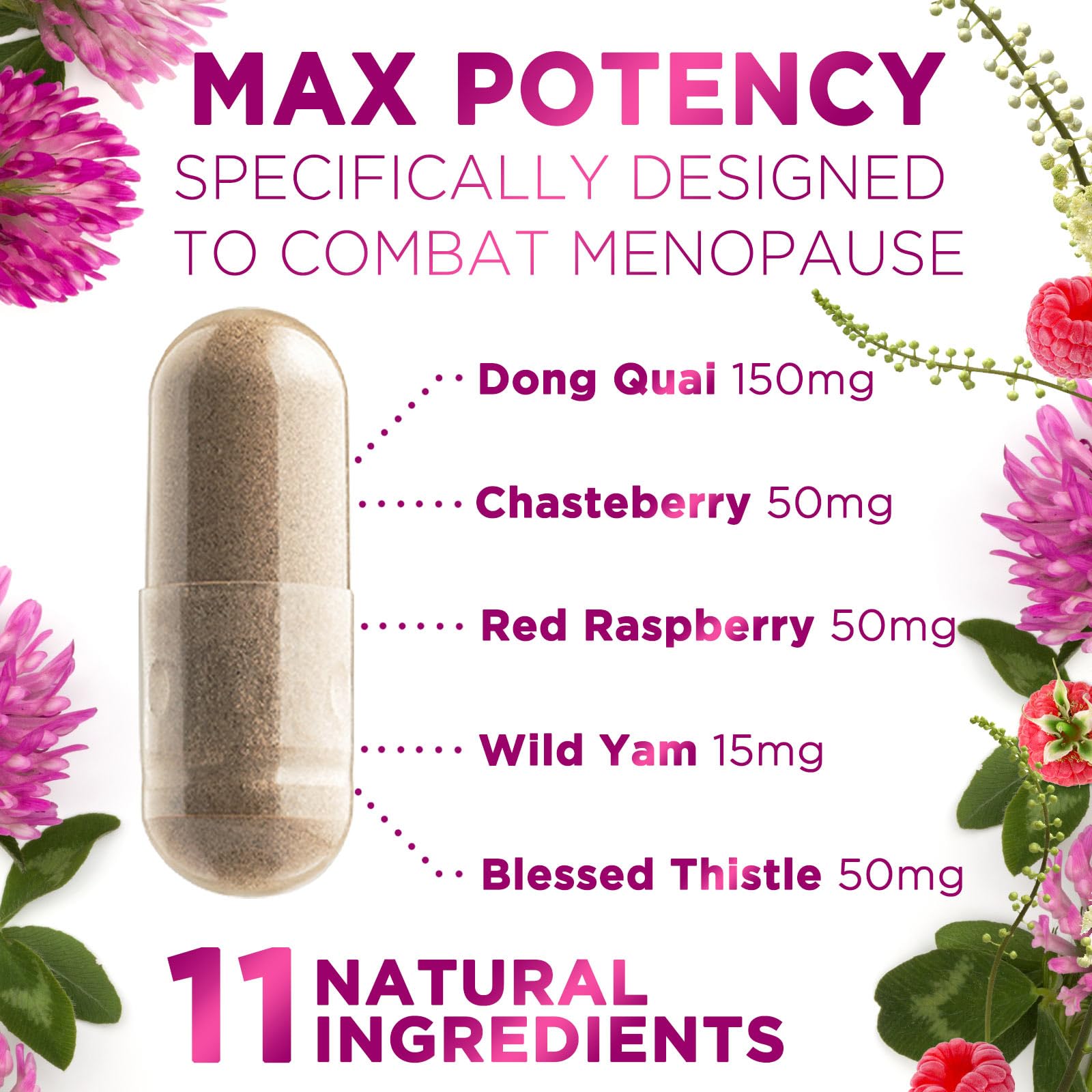 Menopause Supplements for Women - Complete Menopause Relief with Dong Quai & Black Cohosh - For Natural, Mild Hot Flash & Night Sweats - Hormone, Energy & Balance Support, Bottled in USA - 60 Capsules Nature's Nutrition buy supplements canada