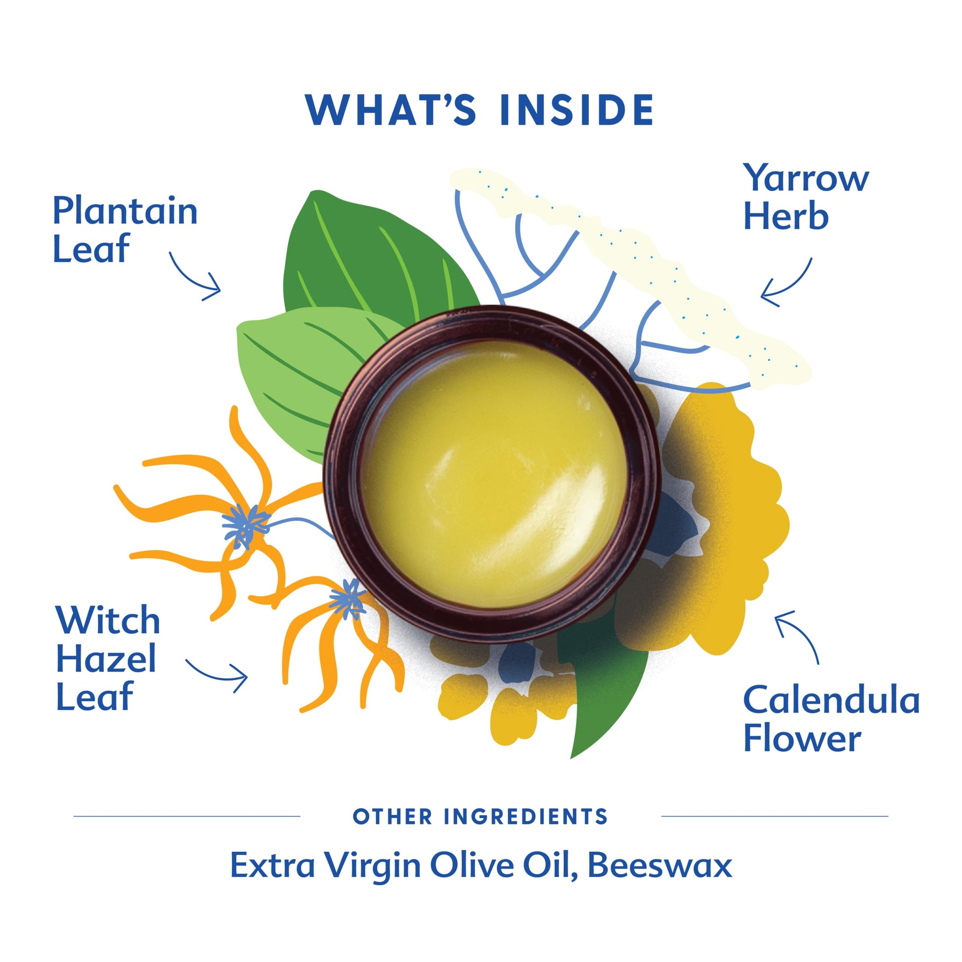 Motherlove Mom's Bottom Balm (1 oz) Organic Herbal Salve w/Witch Hazel for Bottoms During Pregnancy & Postpartum —Non-GMO Ointment Motherlove buy supplements canada