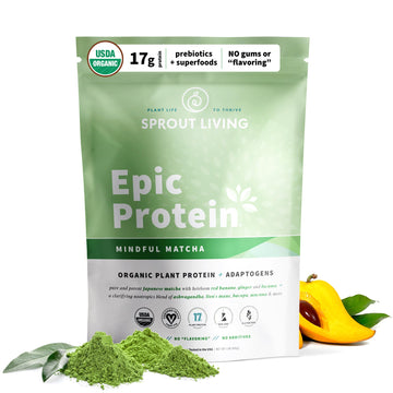 Sprout Living Epic Protein, Plant Based Protein & Superfoods Powder, Mindful Matcha Sprout Living buy supplements canada