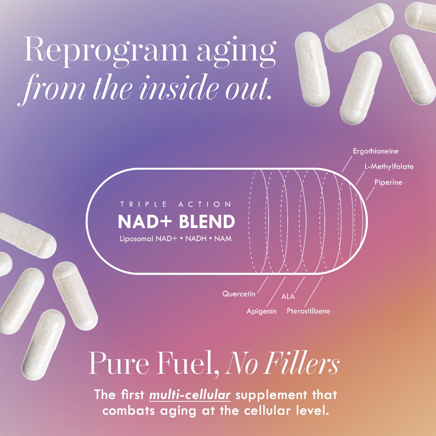 Cell Theory NAD+ Supplement – Triple Action Liposomal NAD+ & NADH Formula for Cellular Energy, Mitochondrial Support, and Longevity, Developed by Dr. Halland, 60 Capsules (30-Day Supply) Cell Theory buy supplements canada