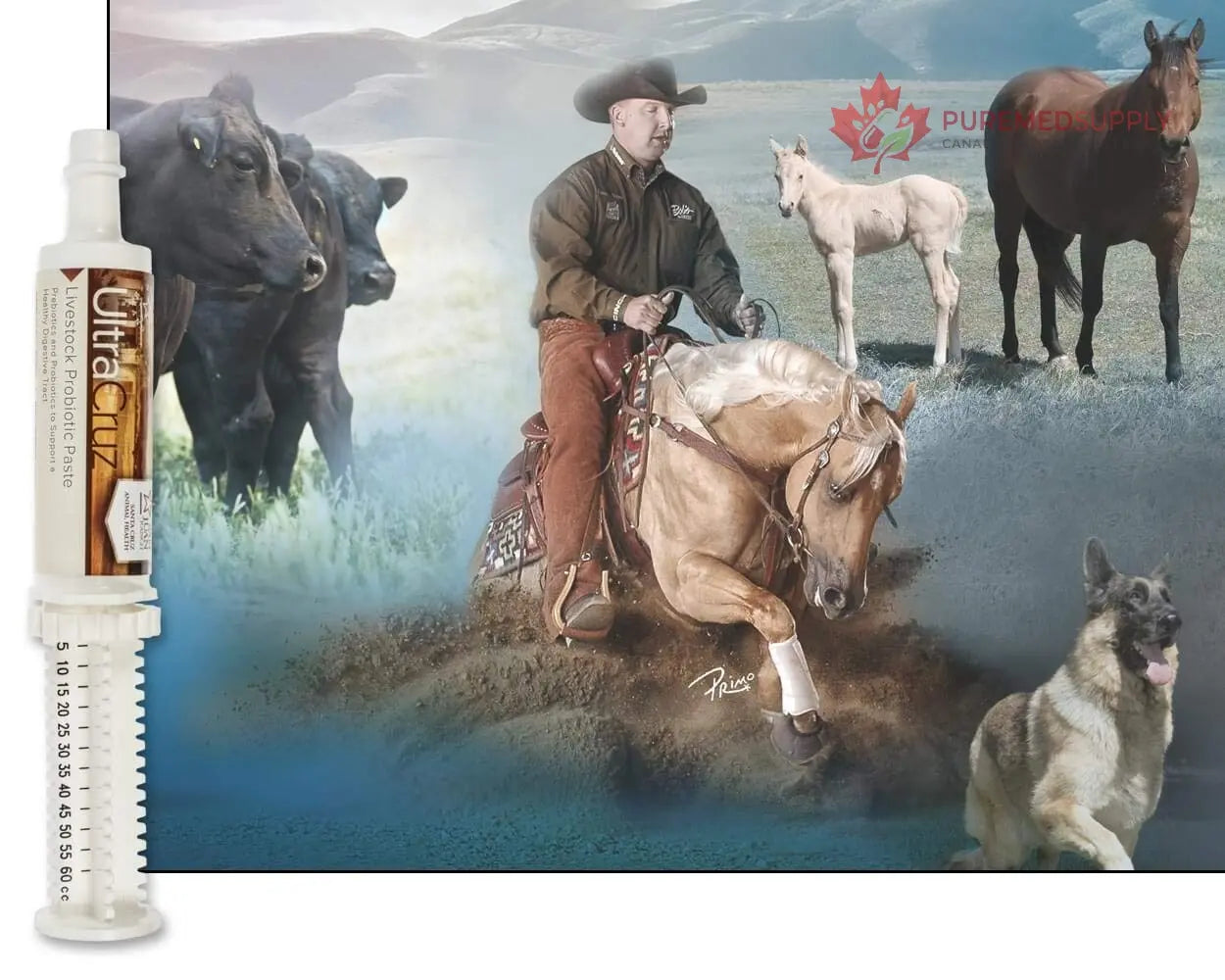 60 ml, Paste, 4 Day Supply UltraCruz buy supplements canada
