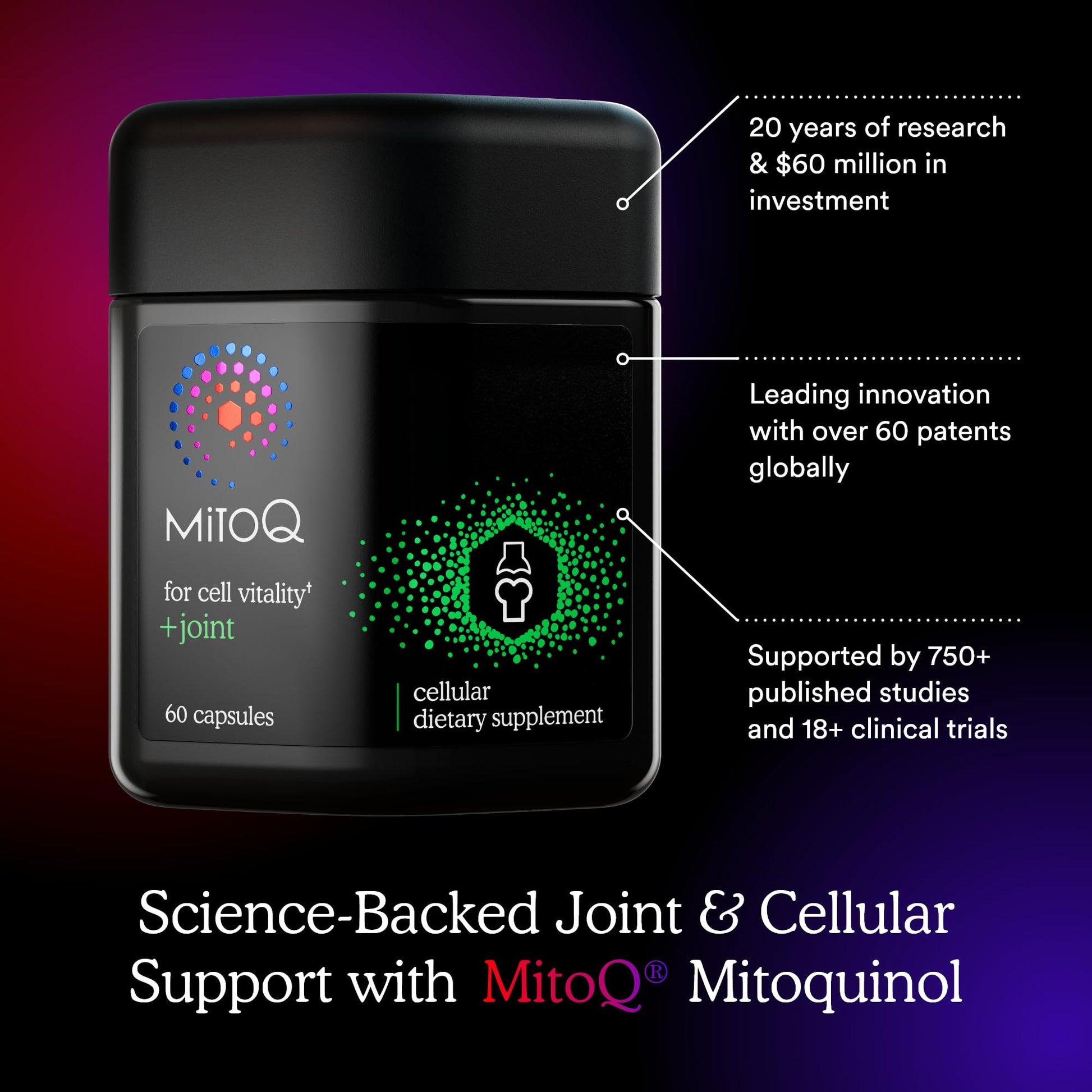 MitoQ +Joint Advanced CoQ10 Antioxidant Supplement - Contains Mitoquinol Mesylate & Green Lipped Mussel Omega Oil Extract - Supports Healthy Joint, Mobility and Cell Vitality (60 Softgel Capsules) MitoQ buy supplements canada