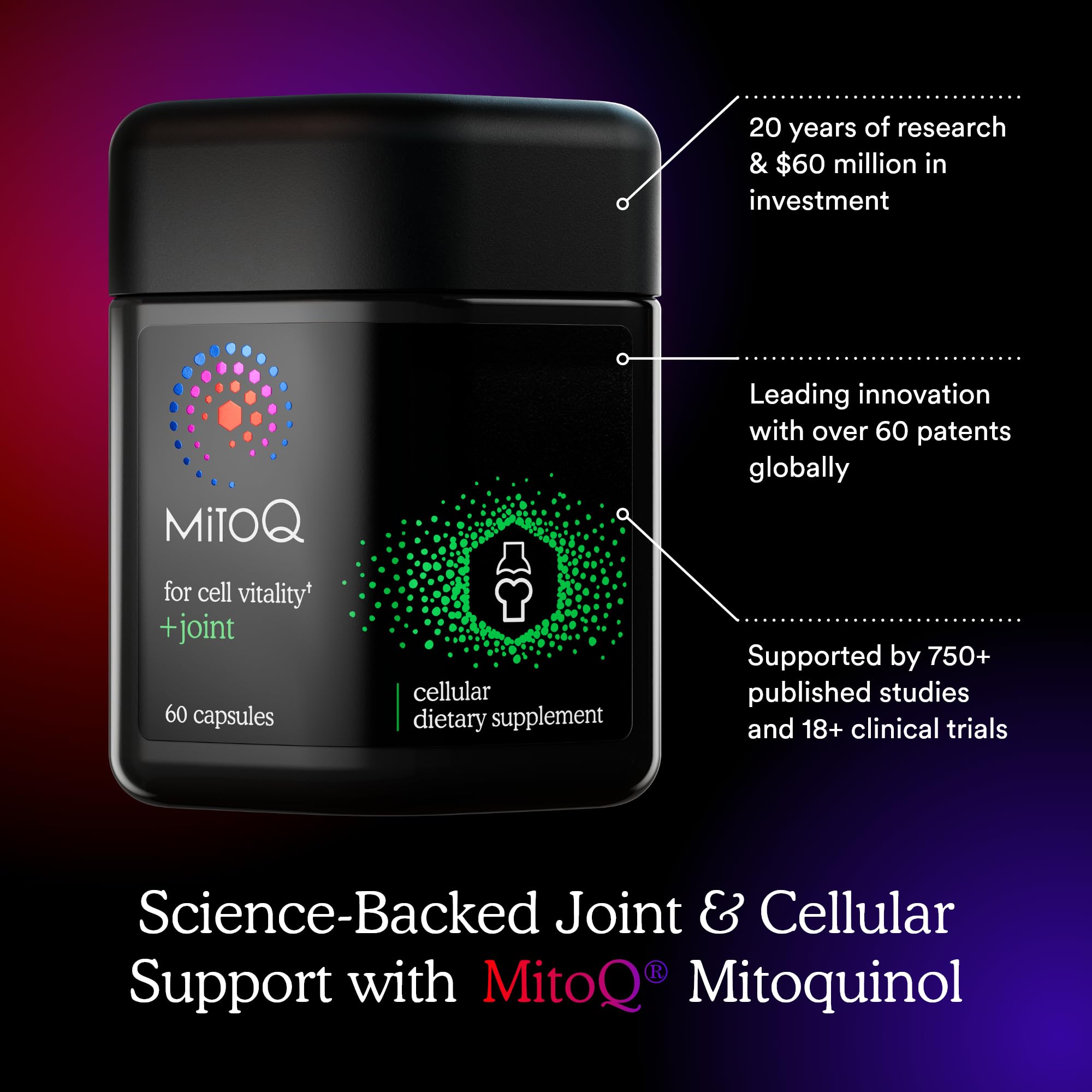 MitoQ +Joint Advanced CoQ10 Antioxidant Supplement - Contains Mitoquinol Mesylate & Green Lipped Mussel Omega Oil Extract - Supports Healthy Joint, Mobility and Cell Vitality (60 Softgel Capsules) MitoQ buy supplements canada