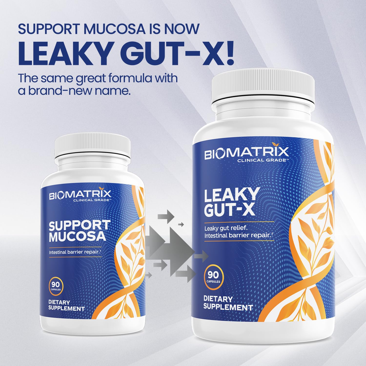 BioMatrix Leaky Gut Repair Supplement w/Glutamine, Quercetin, Cat's Claw, MSM, SIBO, Prebiotic Support, Intestinal Barrier Revive for Men and Women | 60-Day Supply – Leaky Gut-X BioMatrix buy supplements canada