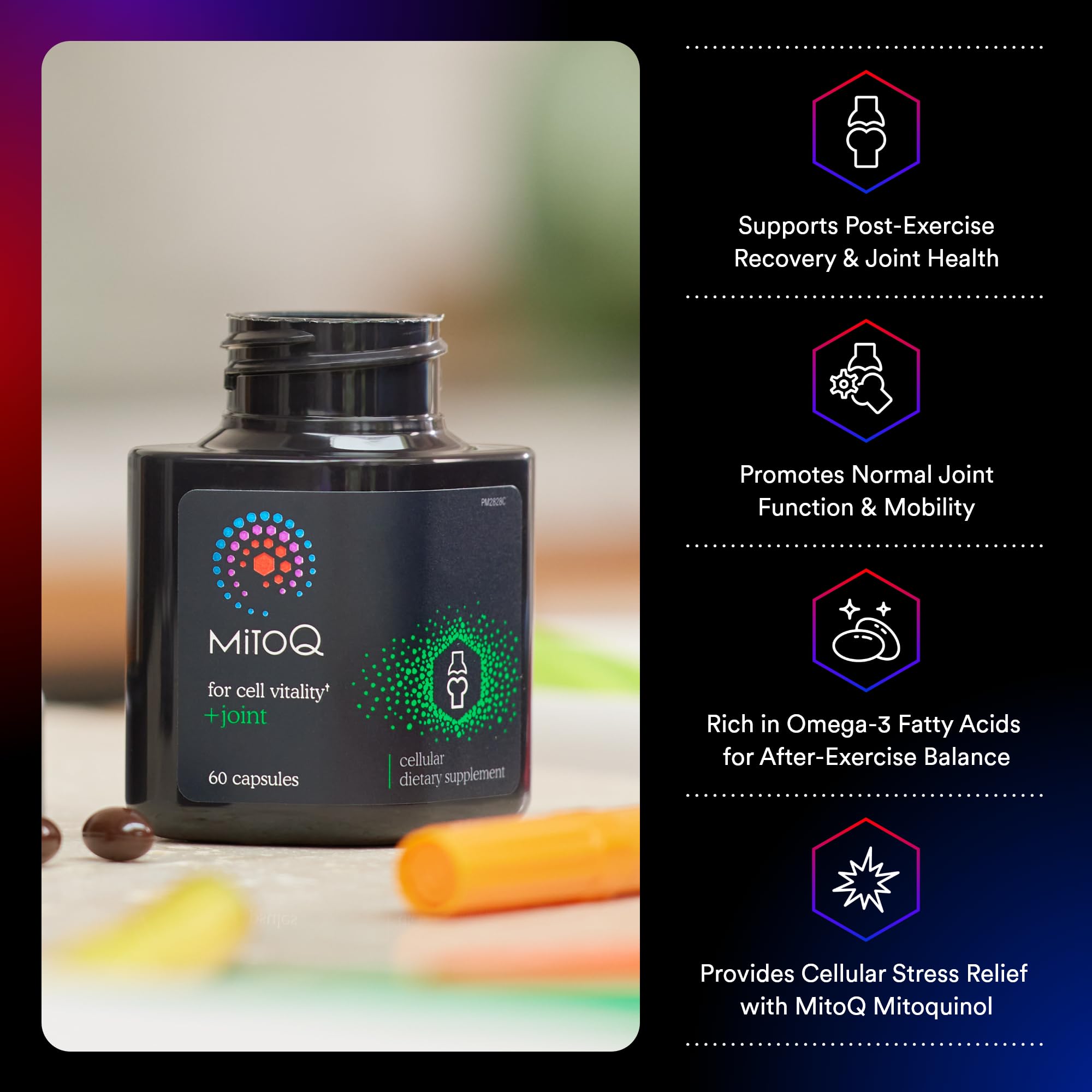 MitoQ +Joint Advanced CoQ10 Antioxidant Supplement - Contains Mitoquinol Mesylate & Green Lipped Mussel Omega Oil Extract - Supports Healthy Joint, Mobility and Cell Vitality (60 Softgel Capsules) MitoQ buy supplements canada