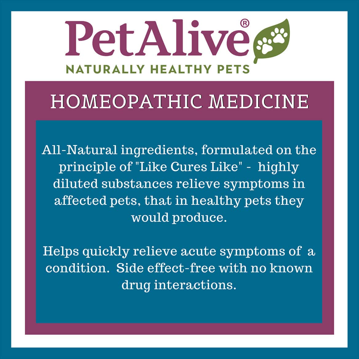 PetAlive Muscle and Joint Support-M - Natural Homeopathic Formula for Joint Pain and Stiffness in Pets - Supports Joint Health and Movement in Dogs and Cats - 59 mL PetAlive buy supplements canada