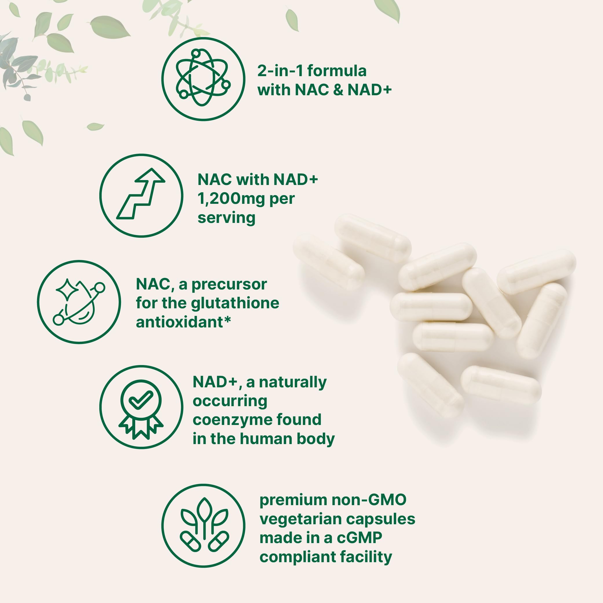 Micro Ingredients NAC with NAD+, 240 Vegetarian Capsules | 1,200 mg Per Serving | 2-in-1 N-Acetyl-L-Cysteine with Nicotinamide Adenine Dinucleotide Micro Ingredients buy supplements canada