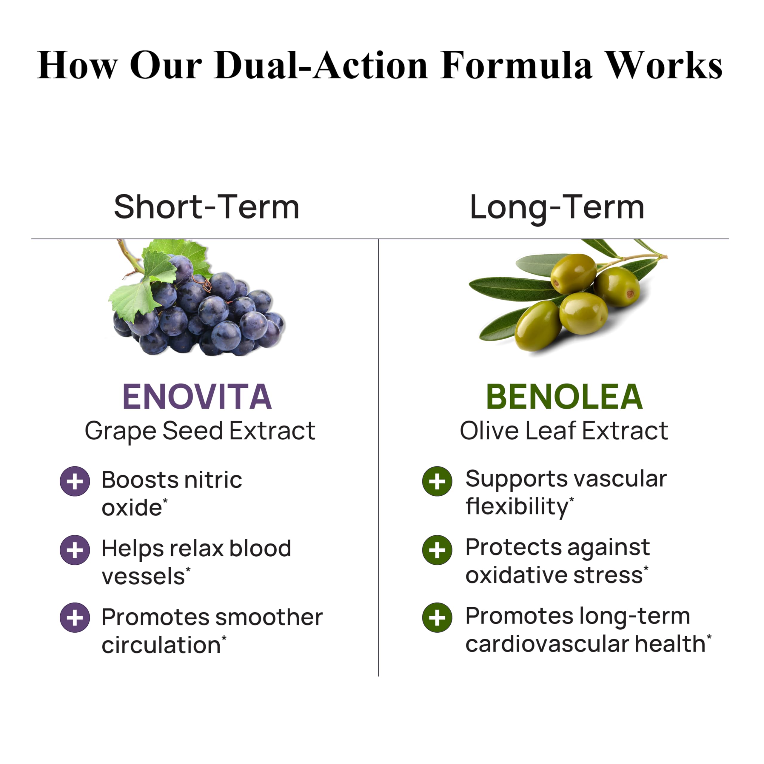 Durable Blood Pressure – Benolea Olive Leaf & Enovita Grape Seed Extract – Healthy Circulation, Nitric Oxide & Artery Support – Doctor Formulated, Vegan, Non-GMO, Made in USA (60 Capsules) Durable buy supplements canada
