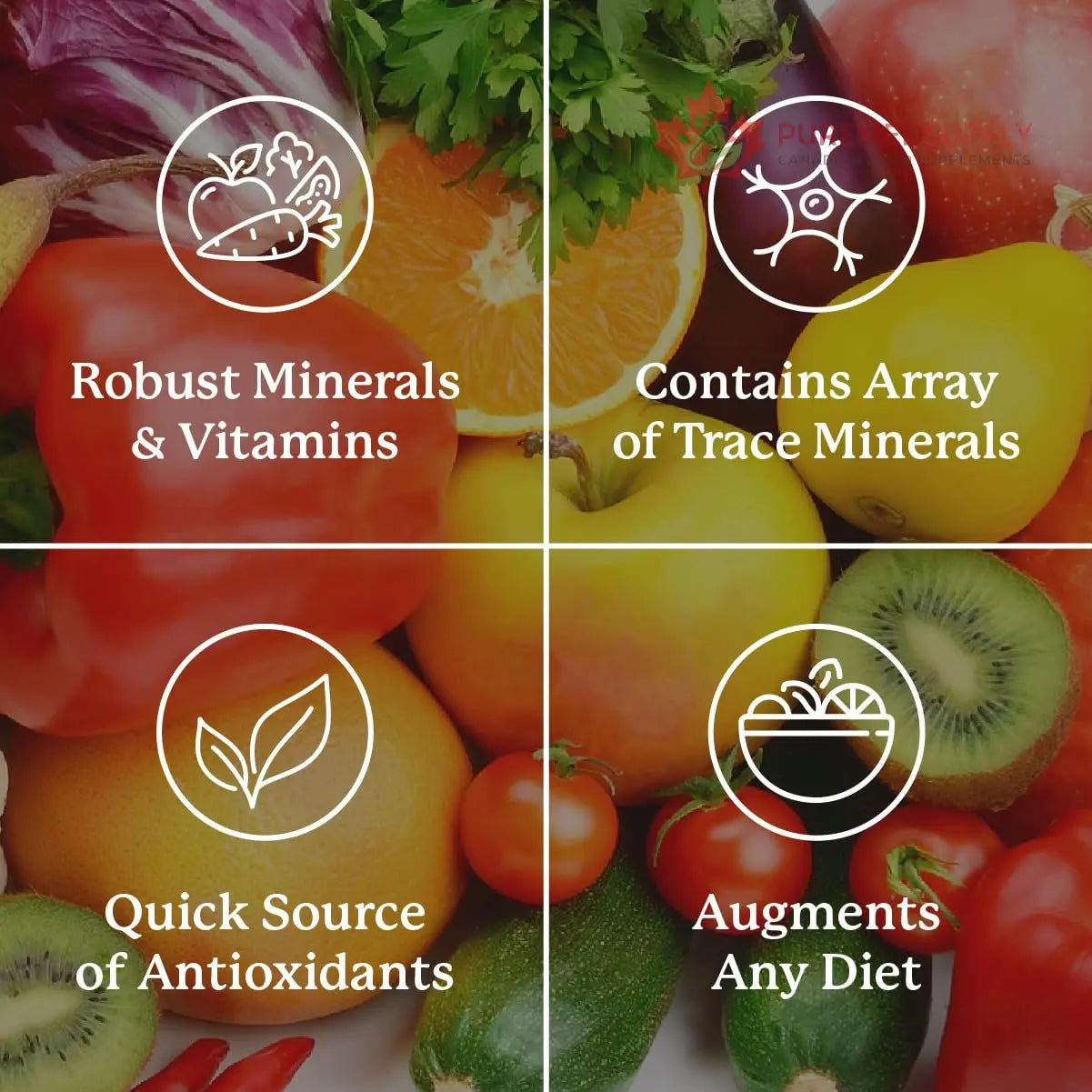 Nature's Sunshine Super Supplemental: Complete Multivitamin with Minerals, Antioxidants & More for Nutritional Gaps, Overall Health, Immune & Energy Support. 120 Tabs Nature's Sunshine buy supplements canada