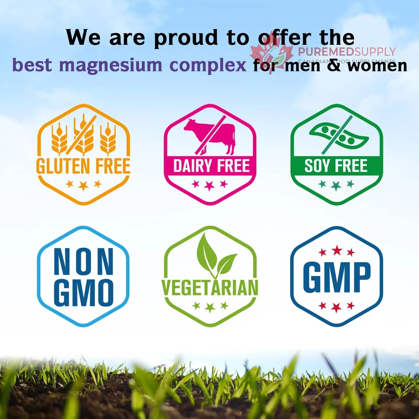 Innate Vitality Magnesium Complex 6-in-1, 1160mg Per Serving, Rest & Digestion, Magnesium Glycinate & Citrate, High Absorption, 120 Vegan Capsules Innate Vitality buy supplements canada