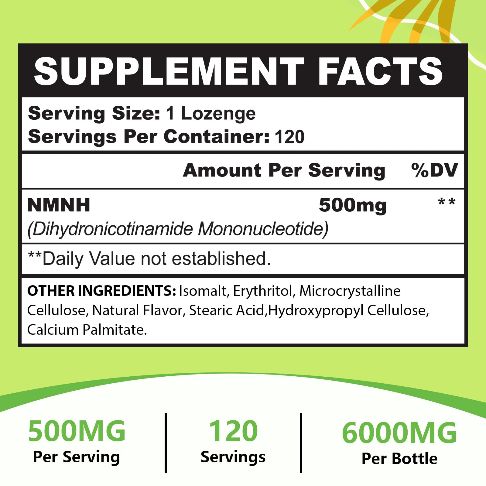 Sublingual NMNH 500mg (Dihydronicotinamide Mononucleotide) (120 Servings, NMNH 500mg per Serving) NAD Supplement to Boost NAD Levels as We Age, for Anti-Aging, Energy, Immunity, Focus - 120 Count Ursinquil buy supplements canada
