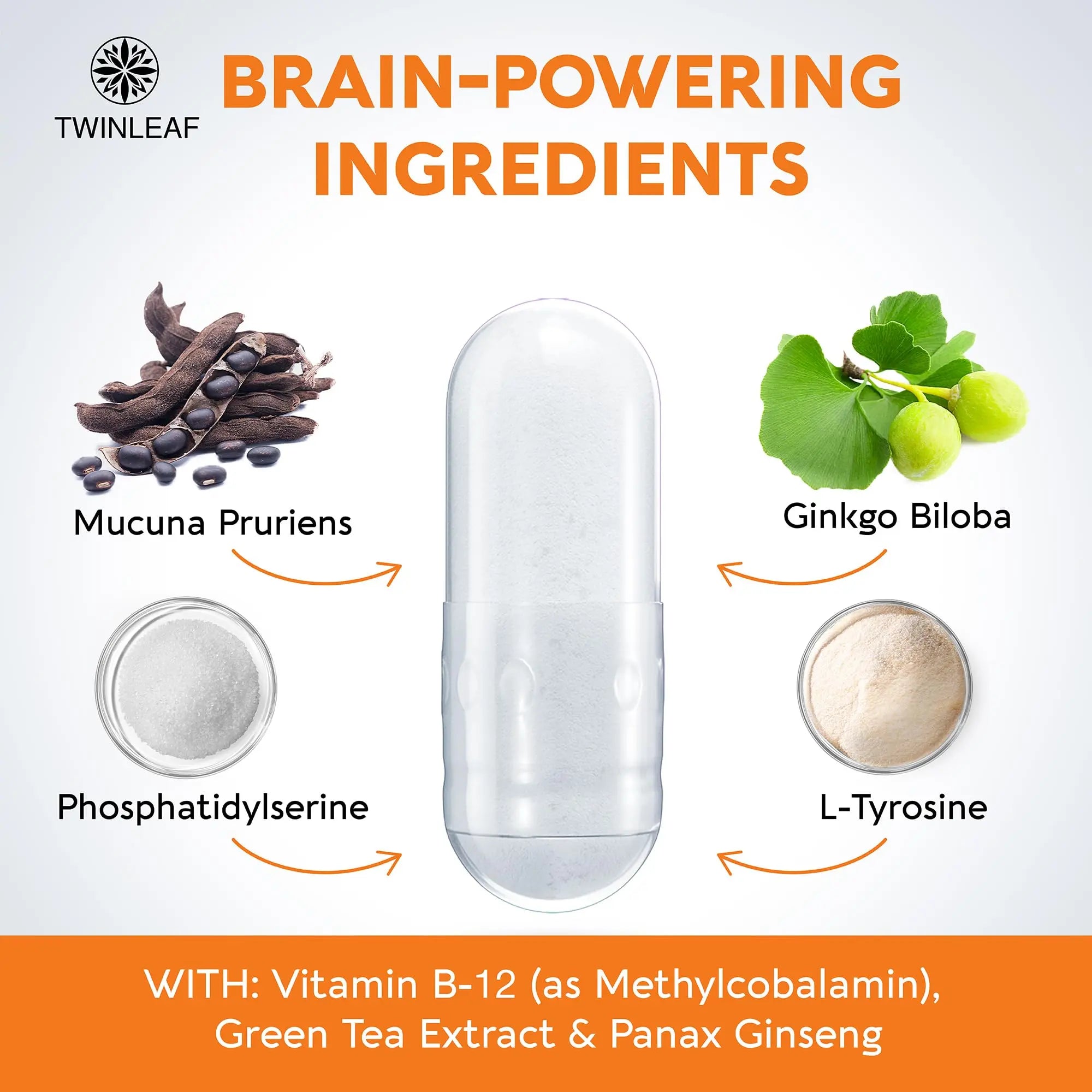 TWINLEAF Dopamine Brain Support Supplement, 1000 mg Blend - Made in USA - with DMAE, Vitamin B12 and L-Tyrosine TWINLEAF buy supplements canada