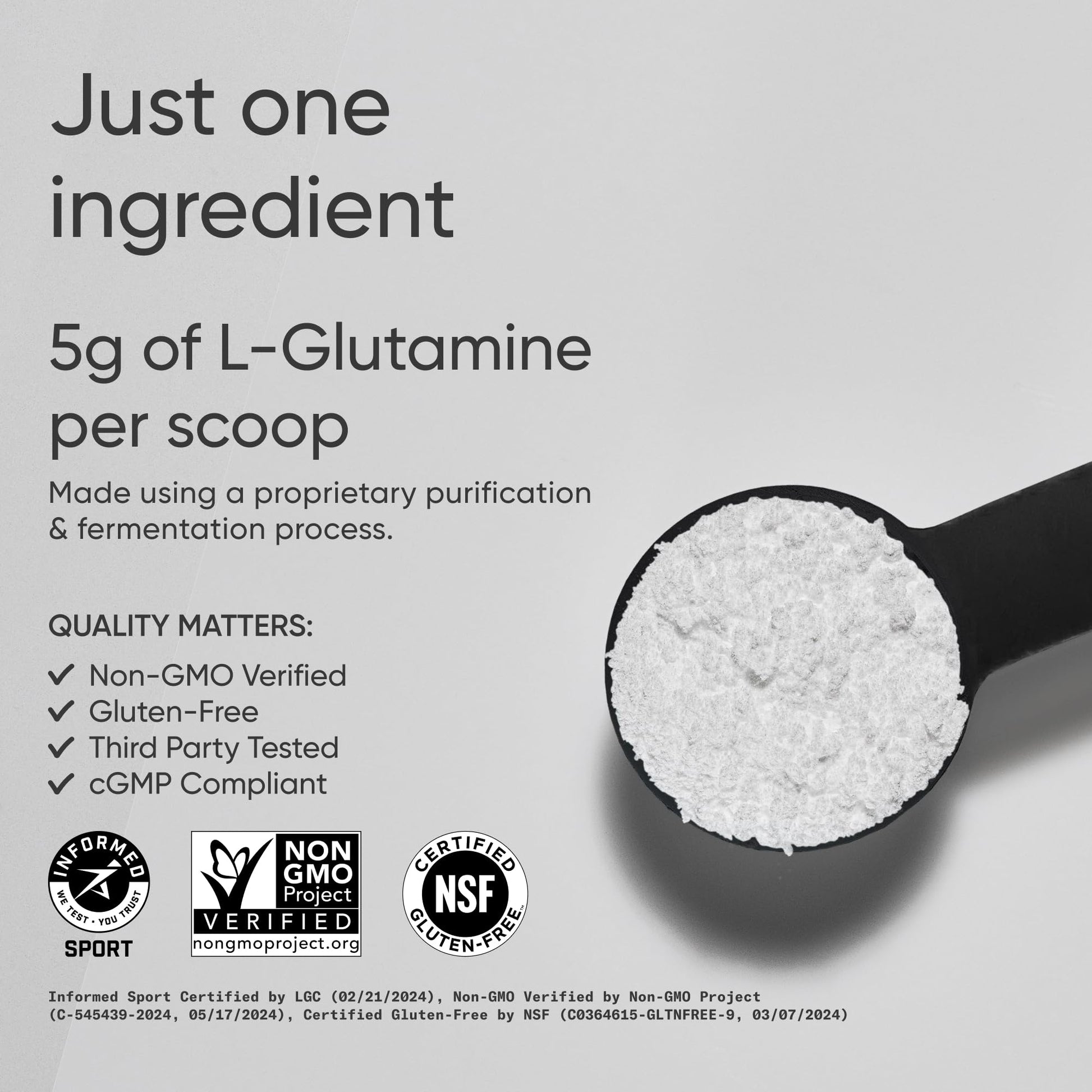 Sports Research L-Glutamine - Workout Recovery, Immune Health & Gut Health Support - 5 G Per Serving - 10.58 Oz Sports Research buy supplements canada
