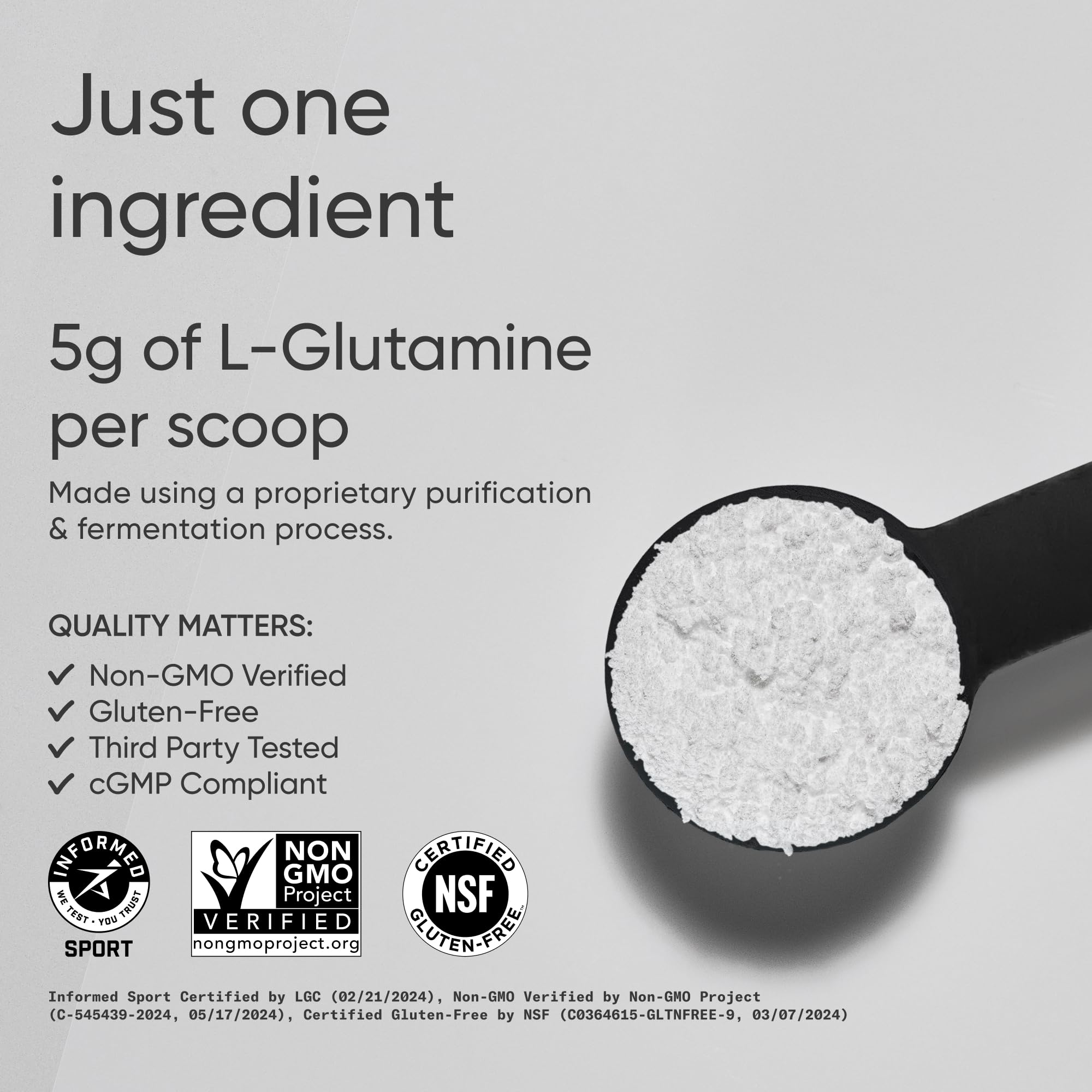 Sports Research L-Glutamine - Workout Recovery, Immune Health & Gut Health Support - 5 G Per Serving - 10.58 Oz Sports Research buy supplements canada