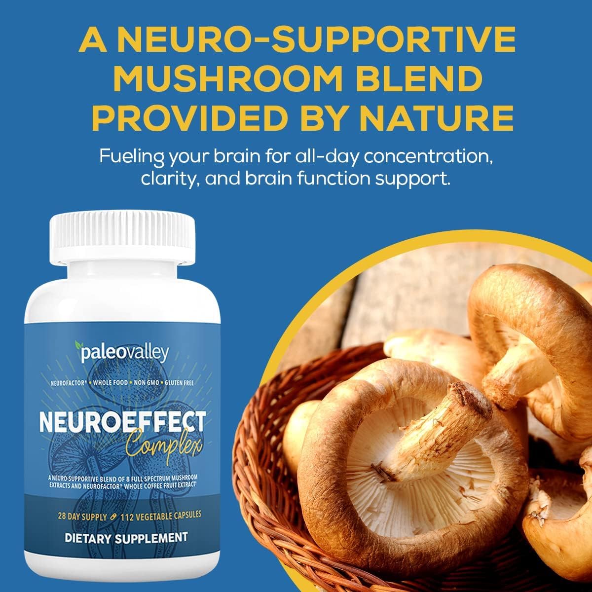 Paleovalley NeuroEffect - Neuro Mushroom Coffee Nutritional Supplement for Focus, Memory, and Energy Support - 28-Day Supply - 8 Full Spectrum Mushroom and Whole Coffee Fruit Extracts Paleovalley buy supplements canada