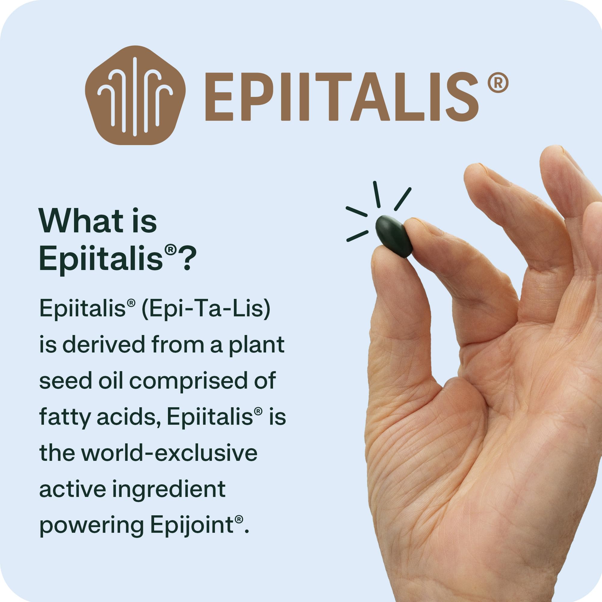 EPIJOINT Joint Support – Supports Mobility & Osteoarthritis – May Help Reduce Inflammation with Patented Epiitalis – 60 Capsules EPIJOINT buy supplements canada