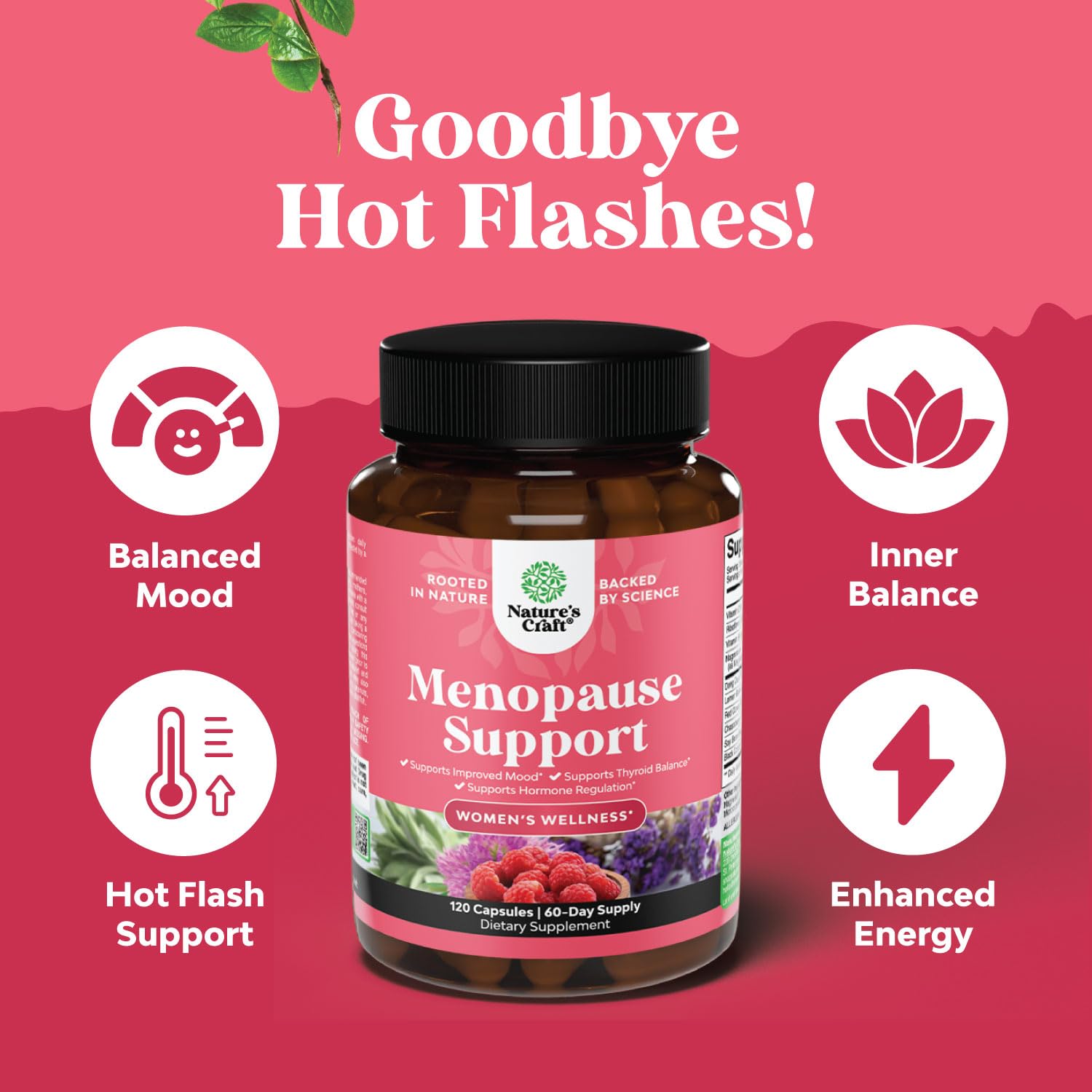 Complete Herbal Menopause Supplement for Women - Female Hormone Balance Capsules for Night Sweats Hot Flashes & Mood Swings with Dong Quai, Chaste Berry & Black Cohosh Root - 120 Count Pack Natures Craft buy supplements canada
