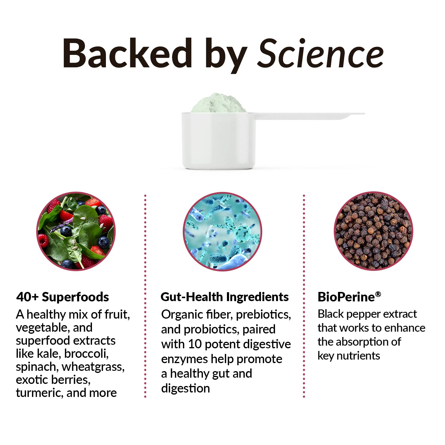 FORCE FACTOR Smarter Greens Daily Wellness Powder to Support Energy, Immunity & Digestion Force Factor buy supplements canada