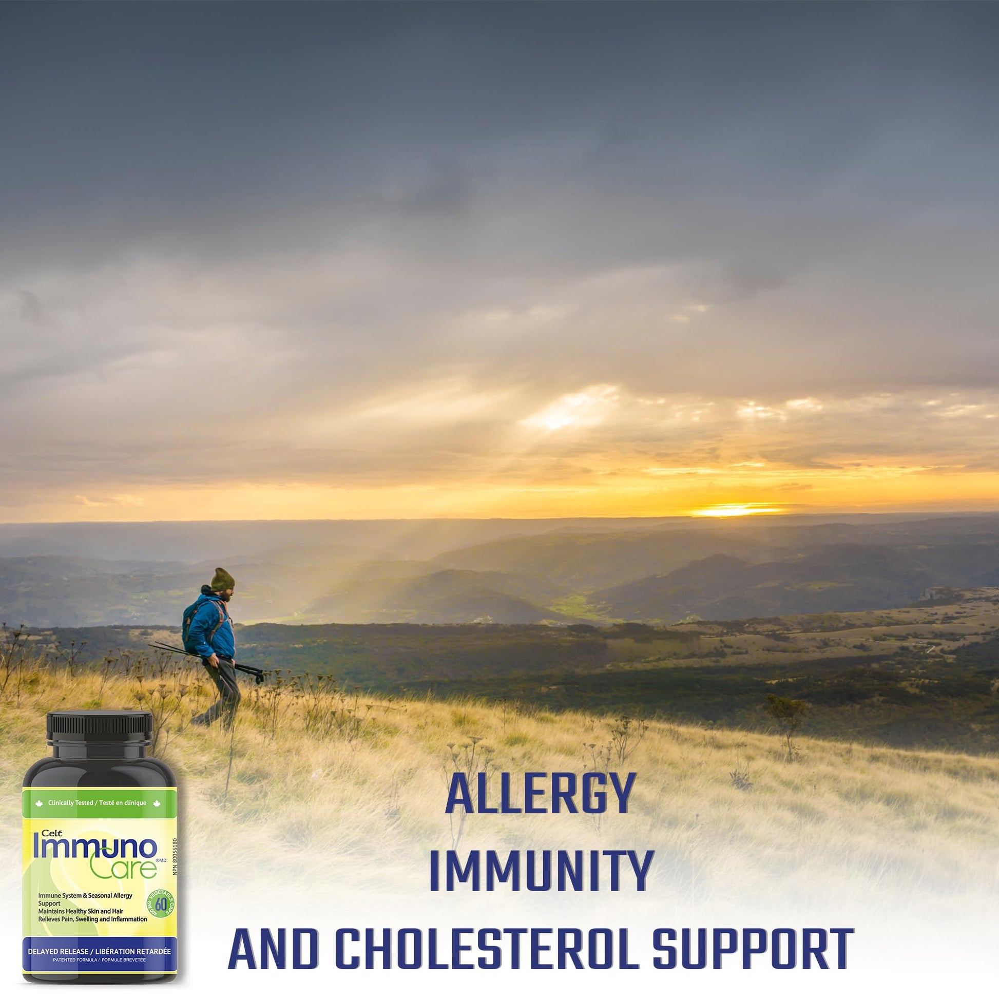 Celt Immunocare 60 v-caps - Potent Seasonal Allergy Blend - Adult Immunity Support - Cholesterol Modulator - Plant Sterols Ultra Strength - 7 Key Immunity Enhancing Ingredients Celt Immuno-Care buy supplements canada