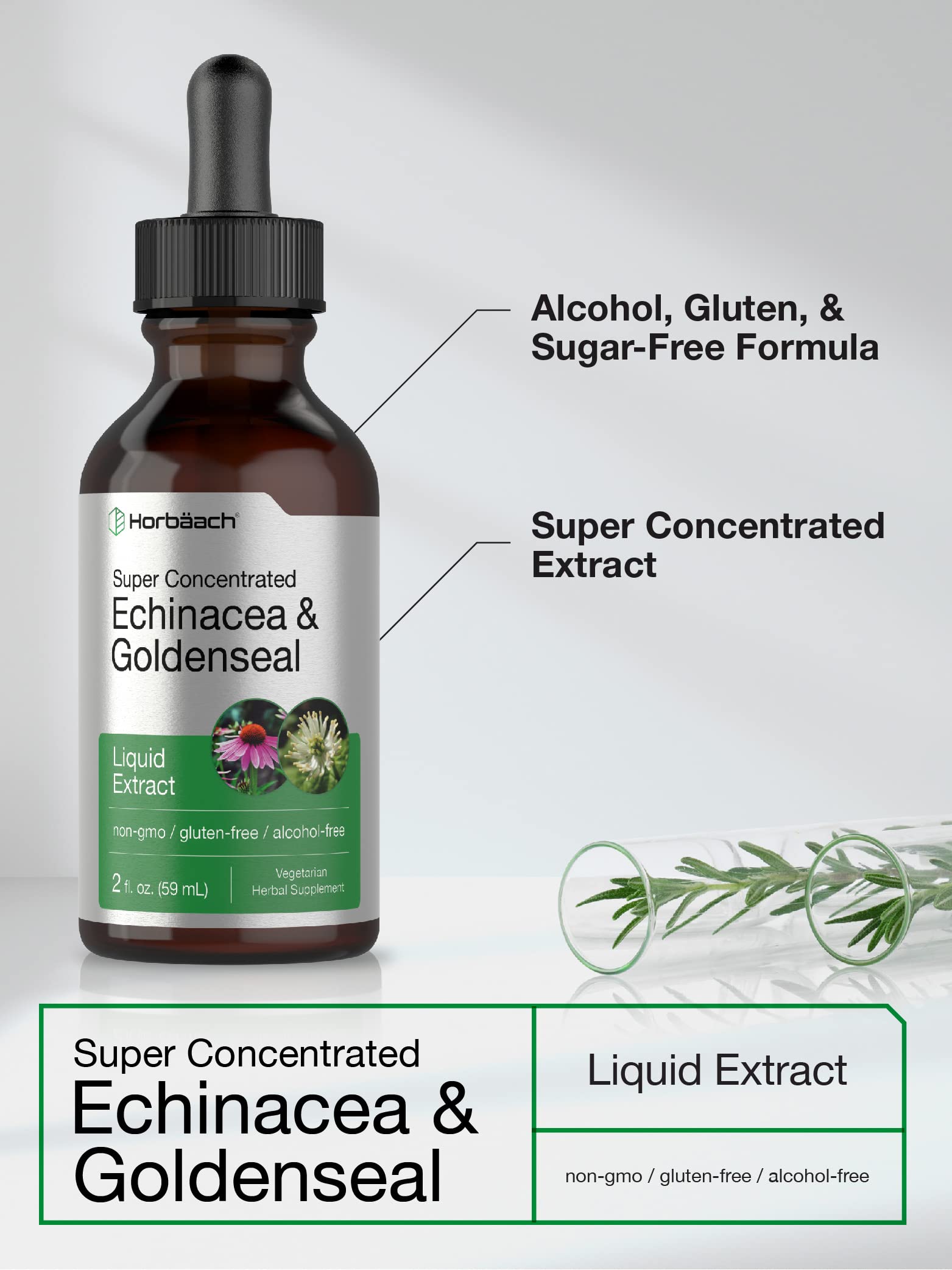 Echinacea Goldenseal Liquid Extract | 2 fl oz | Alcohol Free Tincture Drops | Vegetarian Horbäach buy supplements canada