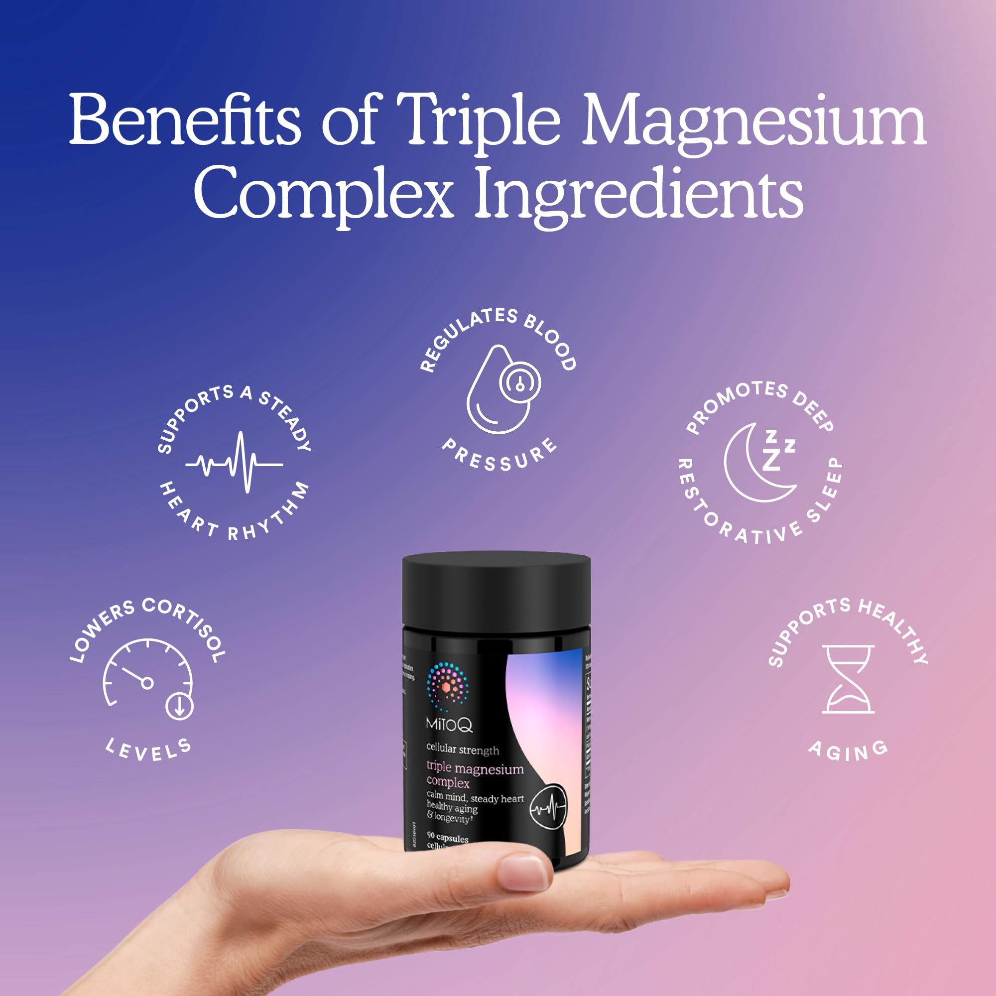 MitoQ Triple Magnesium Complex | Magnesium Glycinate, Taurinate, Oxide with GABA for Heart Health, Stress Management, & Deeper Sleep | High Absorption | 90 Capsules MitoQ buy supplements canada