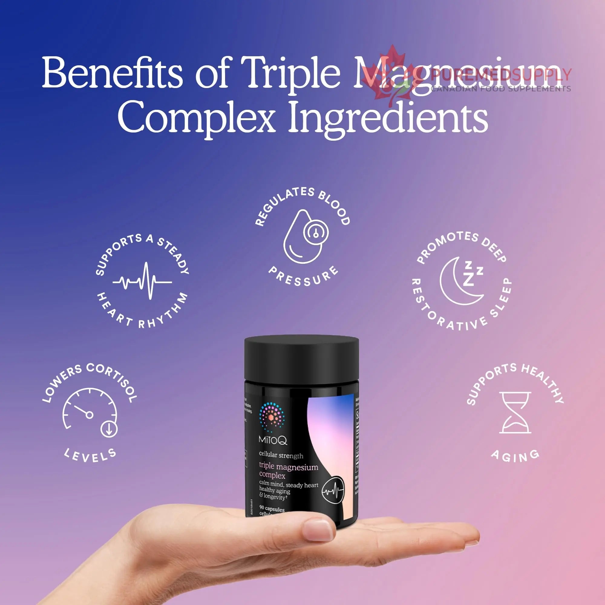 MitoQ Triple Magnesium Complex | Magnesium Glycinate, Taurinate, Oxide with GABA for Heart Health, Stress Management, & Deeper Sleep | High Absorption | 90 Capsules MitoQ buy supplements canada