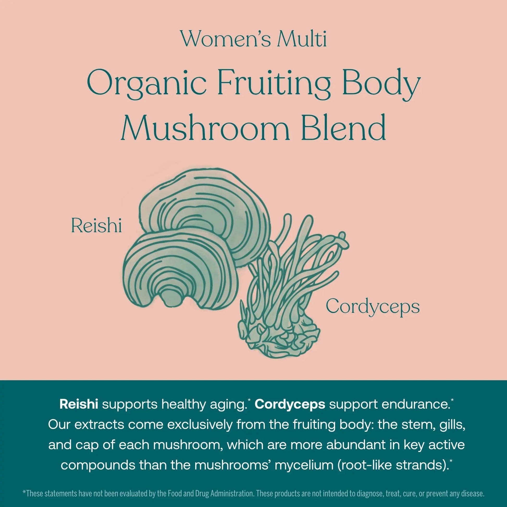True Grace One Daily Men’s Multivitamin (30 Vegan Tablets) + One Daily Women’s Multivitamin (30 Vegan Tablets) - Non-GMO & Gluten Free - 30-Day Supply of Each True Grace buy supplements canada
