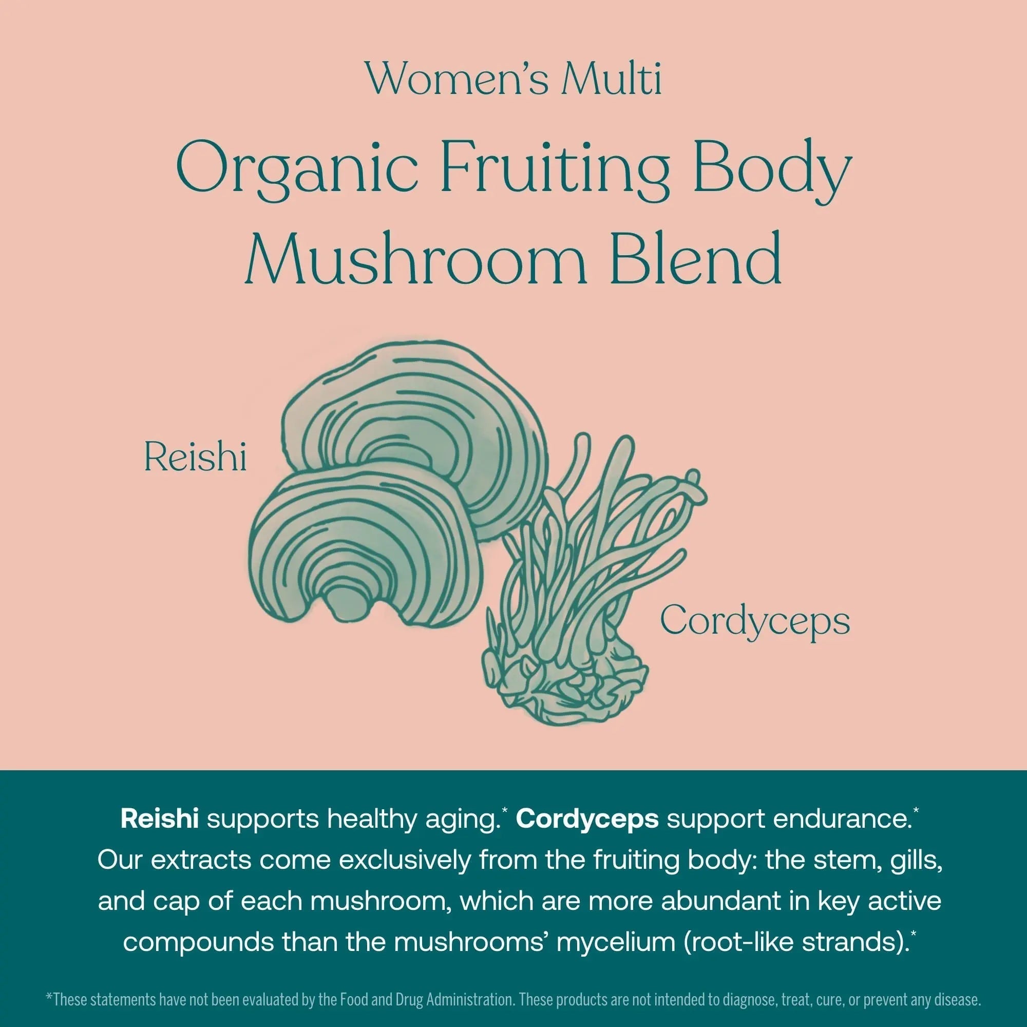 True Grace One Daily Men’s Multivitamin (30 Vegan Tablets) + One Daily Women’s Multivitamin (30 Vegan Tablets) - Non-GMO & Gluten Free - 30-Day Supply of Each True Grace buy supplements canada