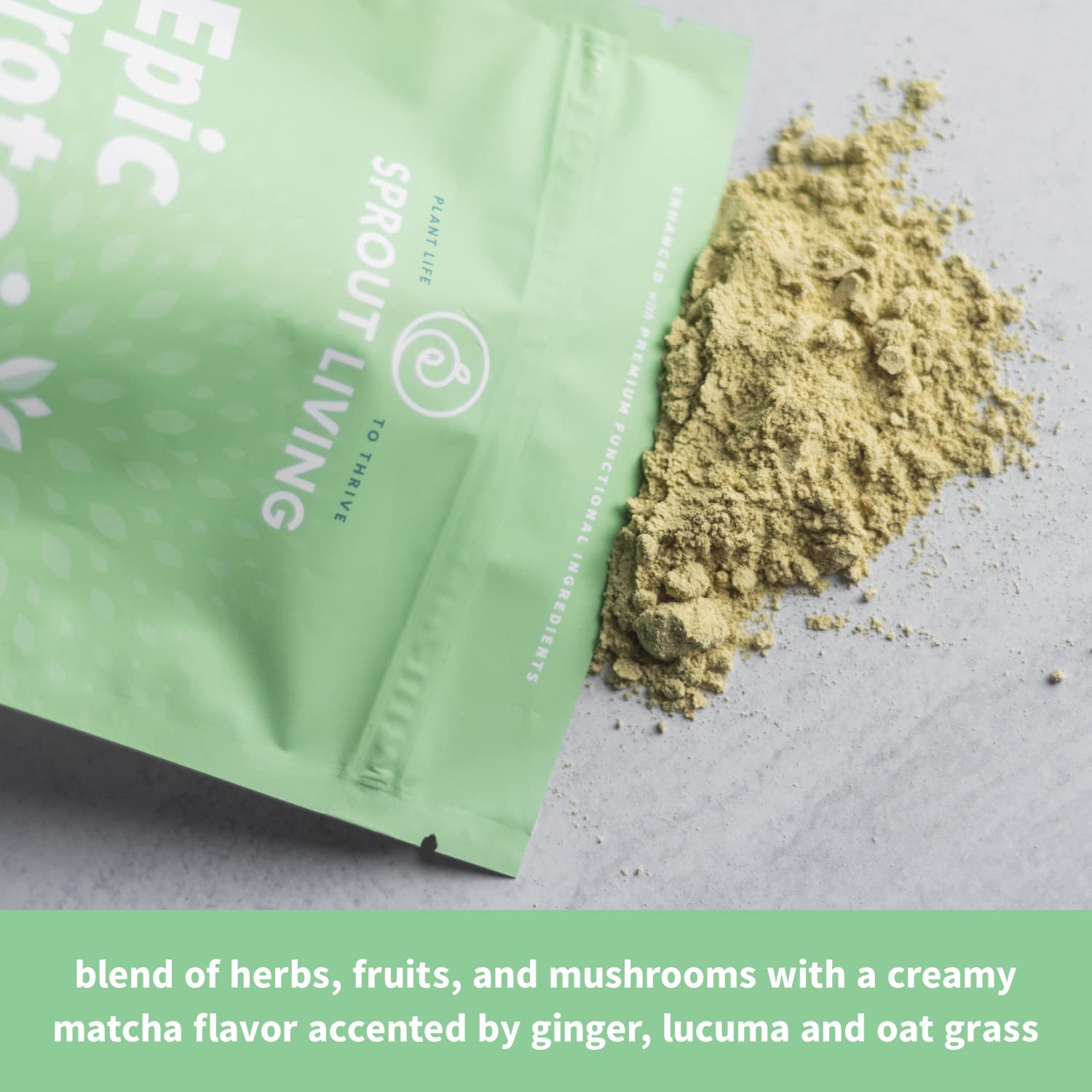 Sprout Living Epic Protein, Plant Based Protein & Superfoods Powder, Mindful Matcha Sprout Living buy supplements canada