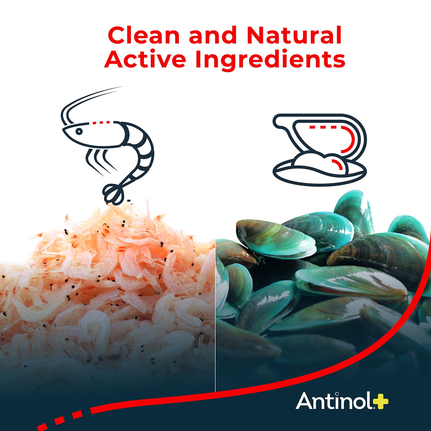 Antinol Plus, Mobility, Hip, and Joint Supplement for Dogs, Green-Lipped Mussels and Krill Oil - Dog Joint Supplement, Better and Faster Than Glucosamine and Chondroitin, 120 Soft Gels Antinol buy supplements canada