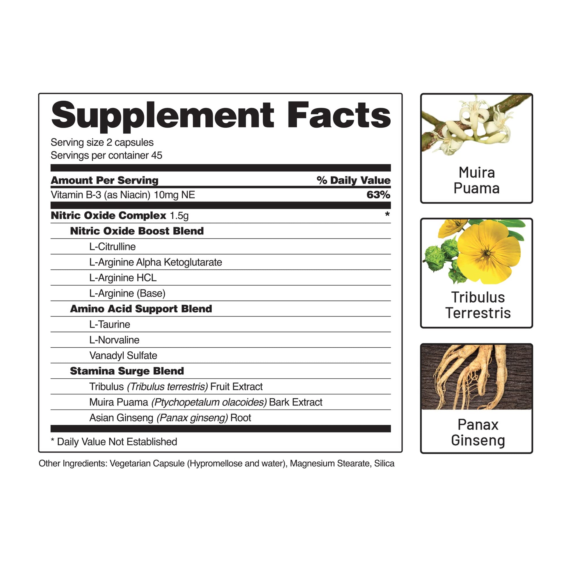 Snap Supplements Nitric Oxide Booster, Nitric Oxide Supplement for Blood Circulation Snap Supplements buy supplements canada
