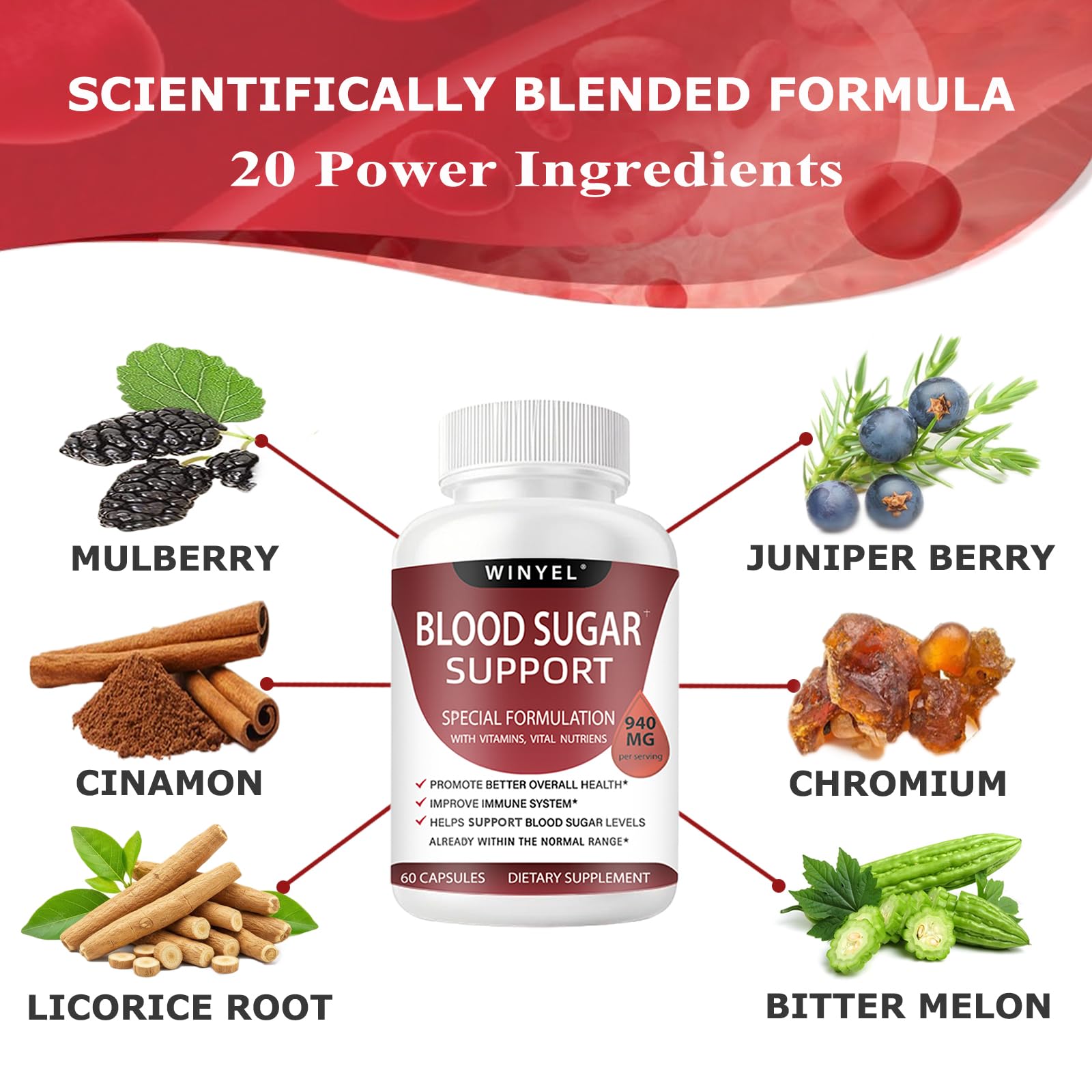 WINYEL Blood Sugar Complex Supplement - with Cinnamon, Bitter Melon, Chromium, Mulberry, Alpha Lipoic Acid, 60 Capsules WINYEL buy supplements canada