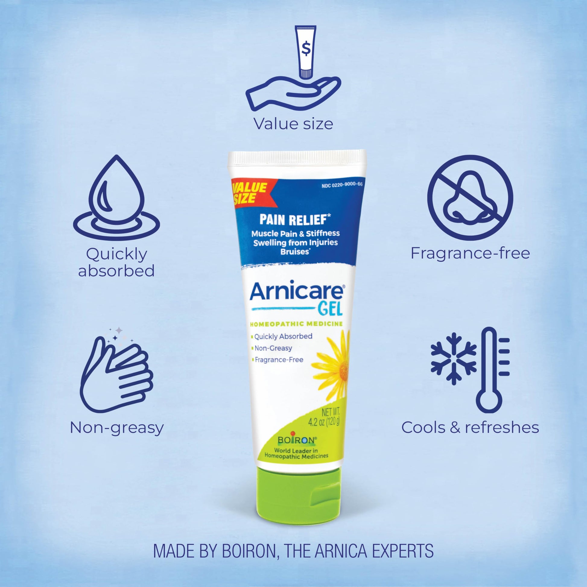 Boiron Arnicare Gel for Relief of Joint Pain, Muscle Pain, Muscle Soreness, and Swelling from Bruises or Injury - Non-greasy and Fragrance-Free - 4.2 oz Boiron buy supplements canada