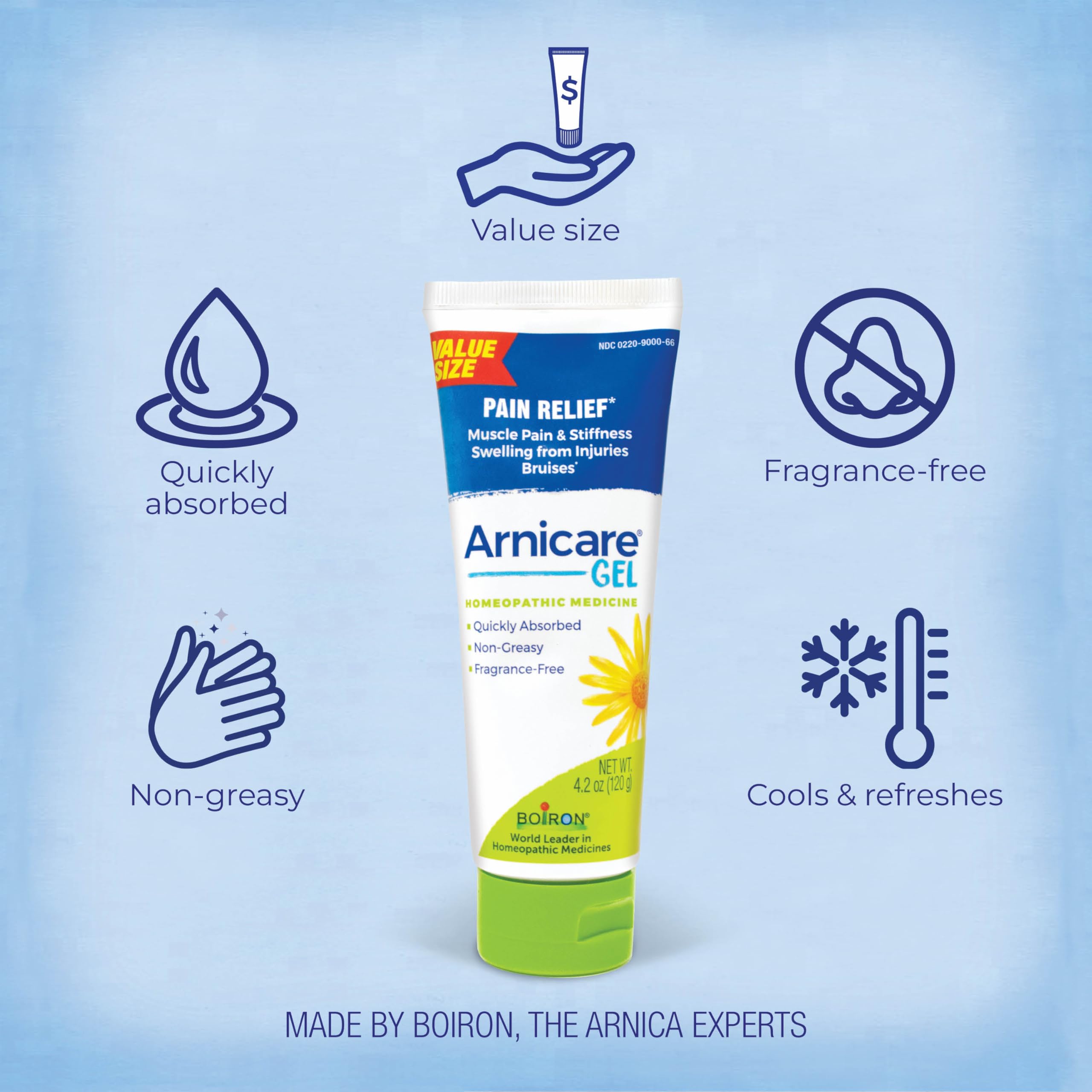 Boiron Arnicare Gel for Relief of Joint Pain, Muscle Pain, Muscle Soreness, and Swelling from Bruises or Injury - Non-greasy and Fragrance-Free - 4.2 oz Boiron buy supplements canada