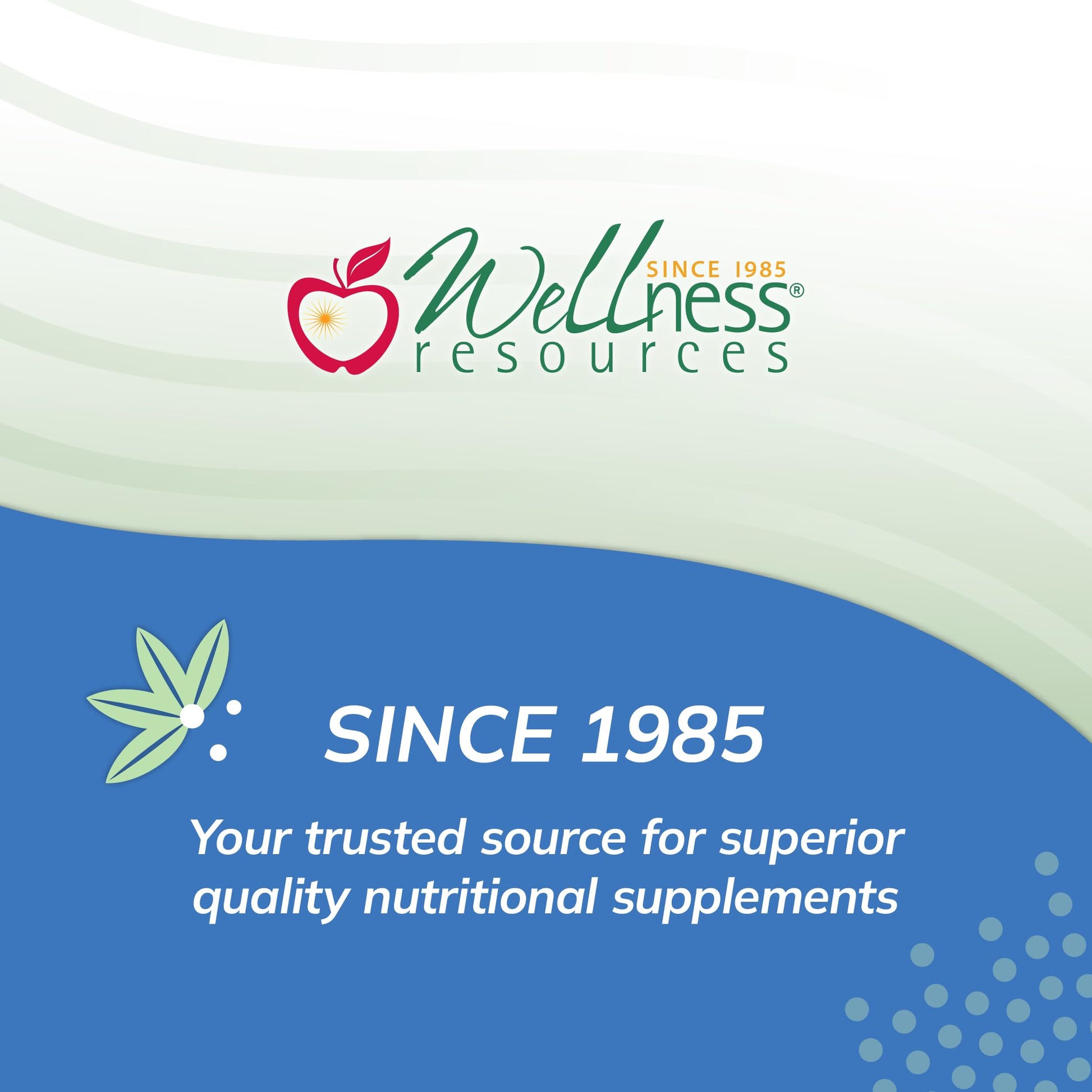 Super Mini-Multi - Children's Multivitamin Swallowable Capsules with Methyl Folate, Methyl B12 and Coenzyme B Vitamins for Growth Wellness Resources buy supplements canada