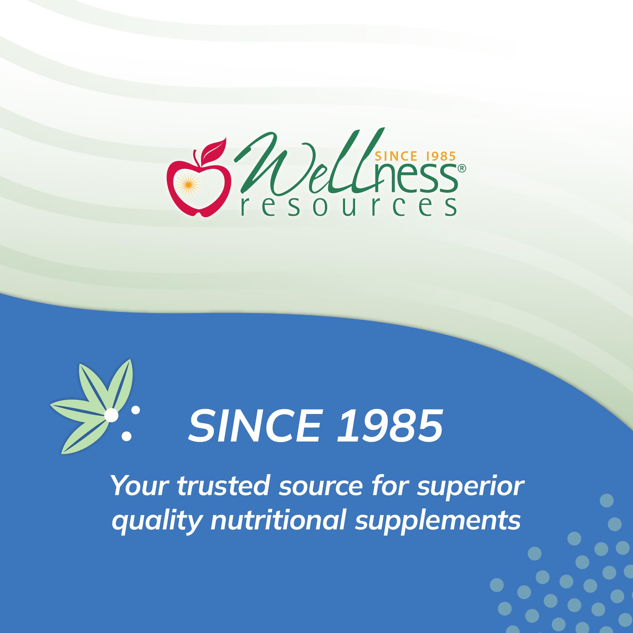 Super Mini-Multi - Children's Multivitamin Swallowable Capsules with Methyl Folate, Methyl B12 and Coenzyme B Vitamins for Growth Wellness Resources buy supplements canada