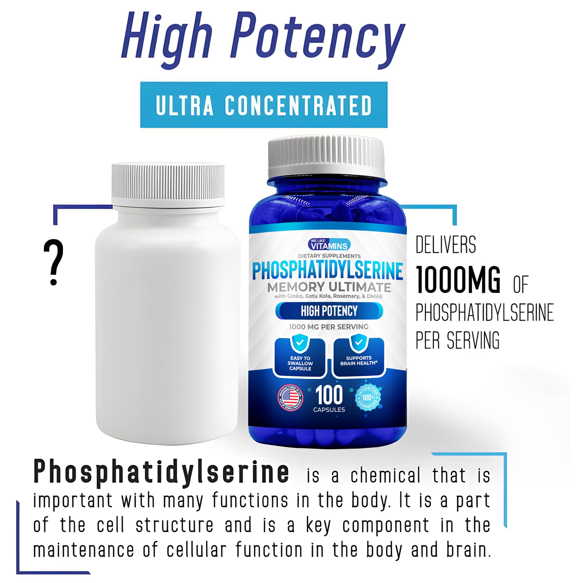 We Like Vitamins Phosphatidylserine Supplement with Gingko Biloba, Gotu Kola, DMAE - Improves Focus, Memory, Cognitive Function - Soy-Free 1000mg Memory Ultimate Complex - 100 Easy-to-Swallow Capsules We Like Vitamins buy supplements canada
