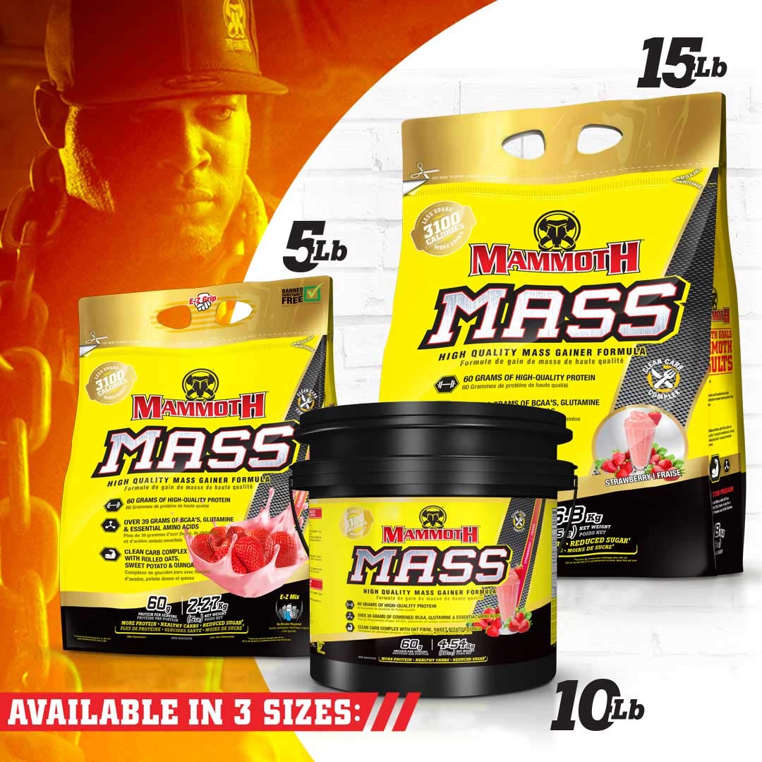 Inter-Active Nutrition Mammoth Mass Supplement, 2.27kg Strawberry Mammoth buy supplements canada