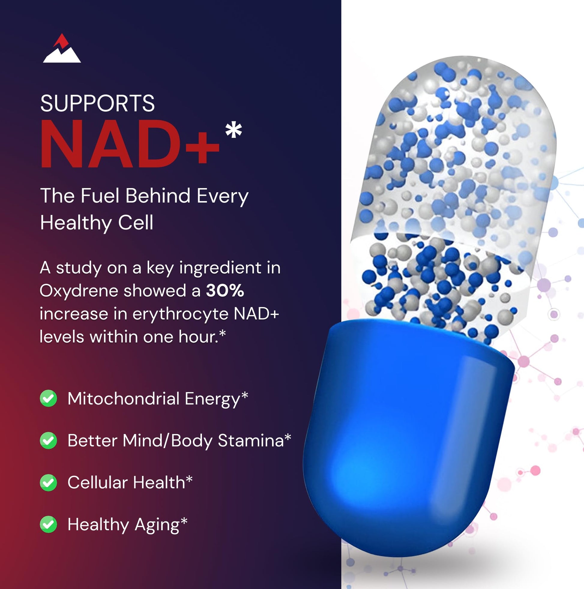 Novex Biotech Oxydrene NAD+ Enhancer - Natural Supplement Promoting Metabolism and Cardiovascular Support for Men and Women - (60 Capsules) Novex Biotech buy supplements canada