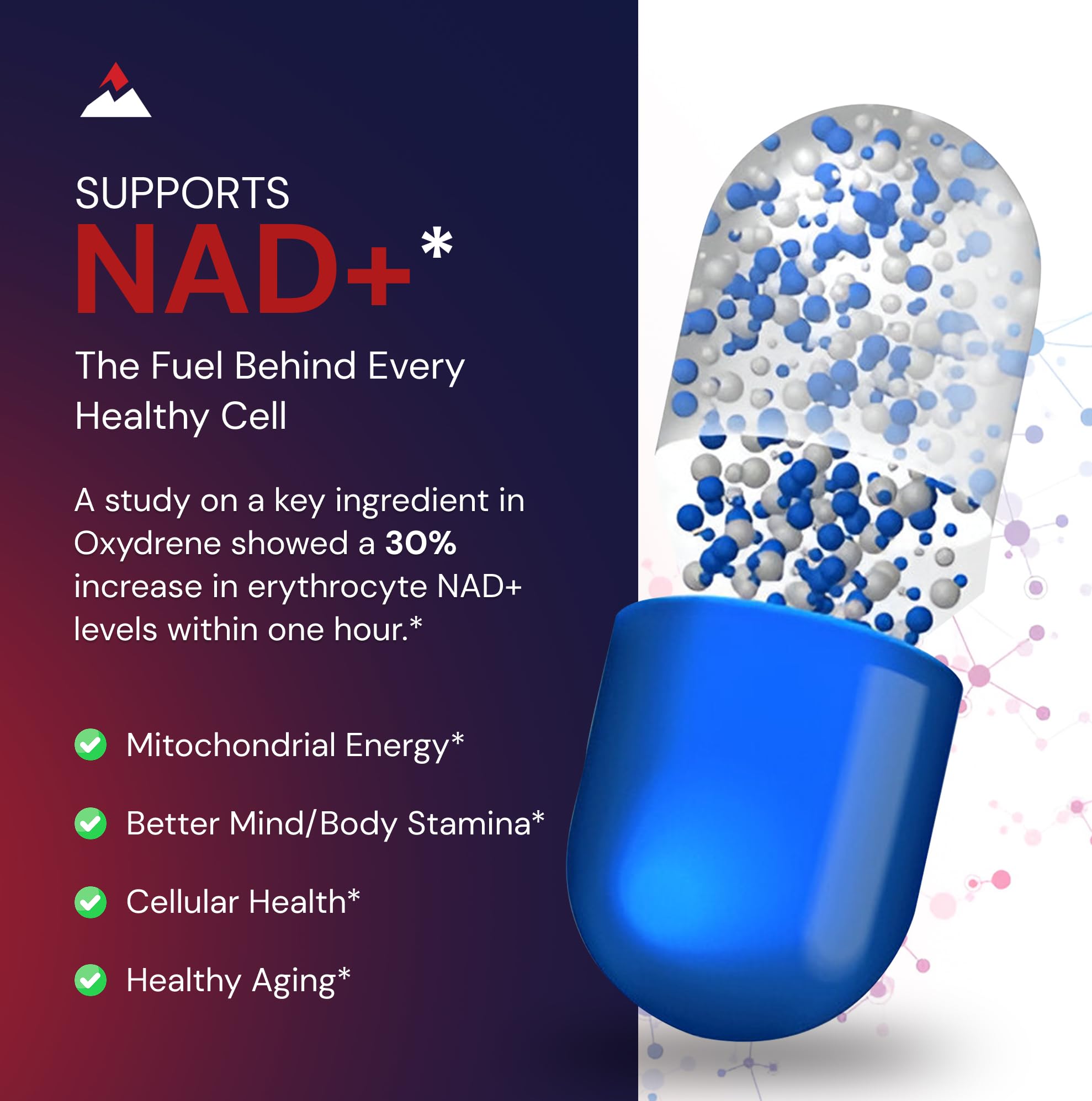 Novex Biotech Oxydrene NAD+ Enhancer - Natural Supplement Promoting Metabolism and Cardiovascular Support for Men and Women - (60 Capsules) Novex Biotech buy supplements canada
