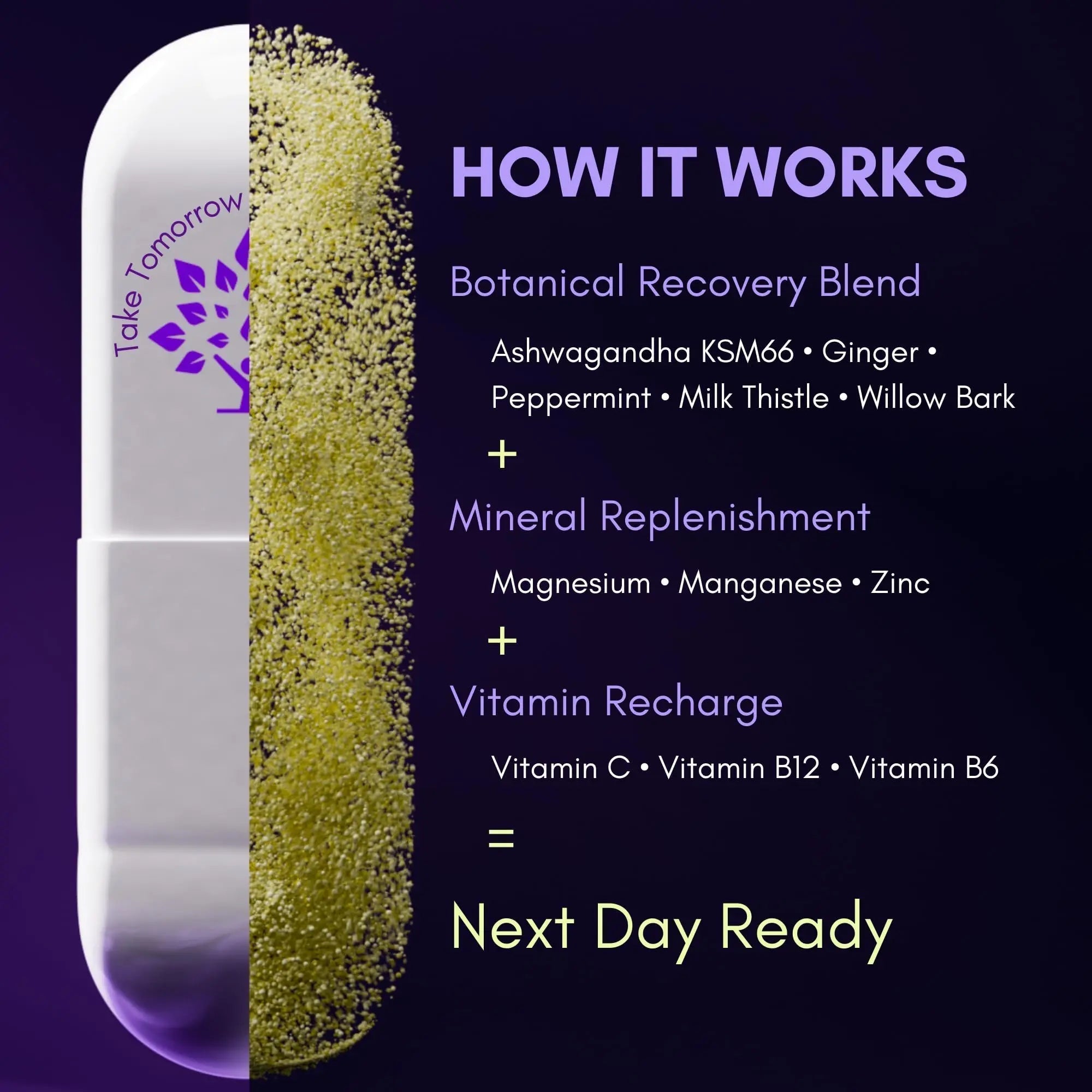 purple tree Next Day – Post-Drink Morning Wellness Supplement for Balance, Restore & Replenishment | Ashwagandha KSM-66, Milk Thistle, Ginger purple tree buy supplements canada