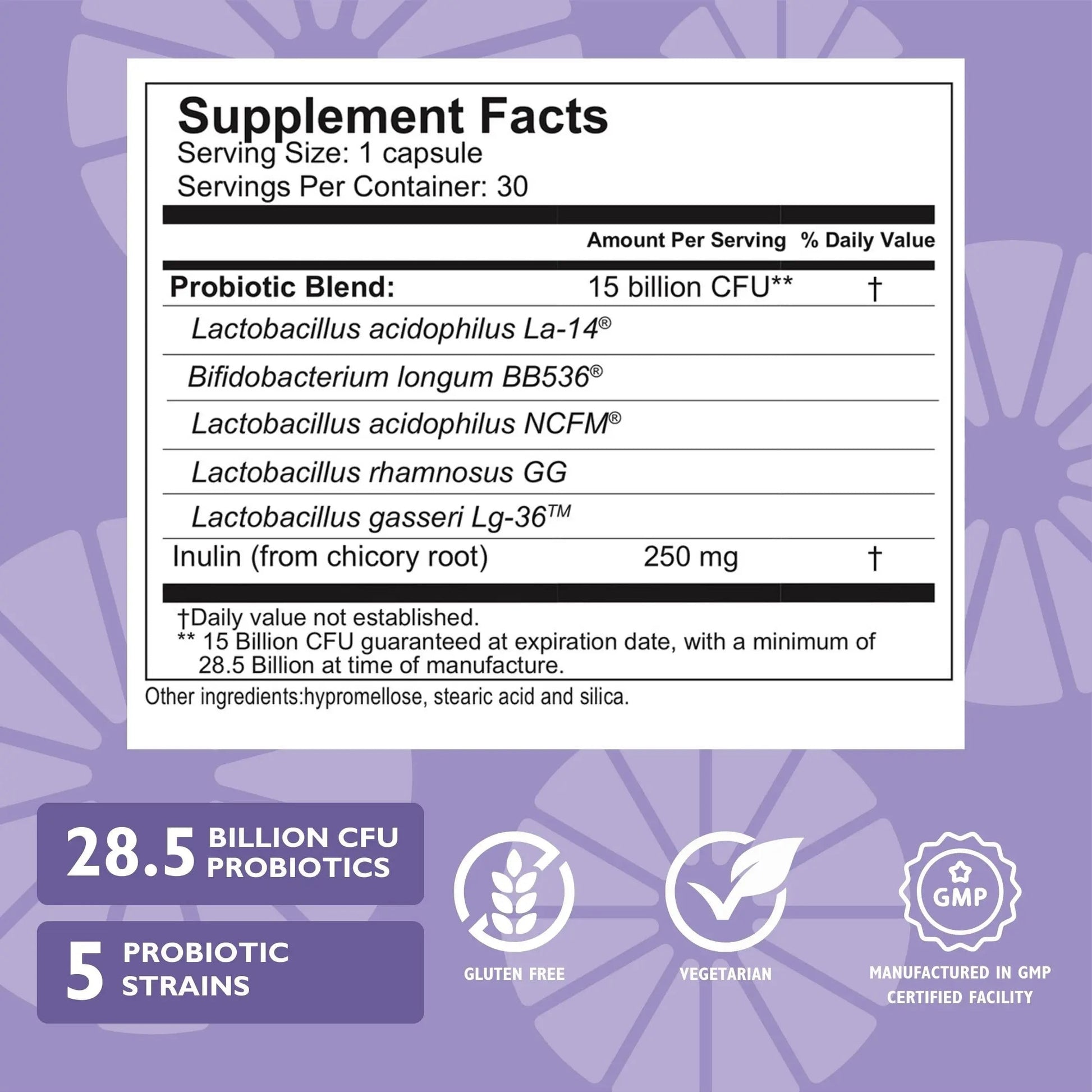 Celebrate Bariatric Essentials Bundle – CelebrateONE Multivitamin, Iron with Vitamin C Chewables, & Balance Probiotic + Prebiotic – Complete Nutritional & Digestive Support for WLS Patients Celebrate Bariatric Supplements buy supplements canada