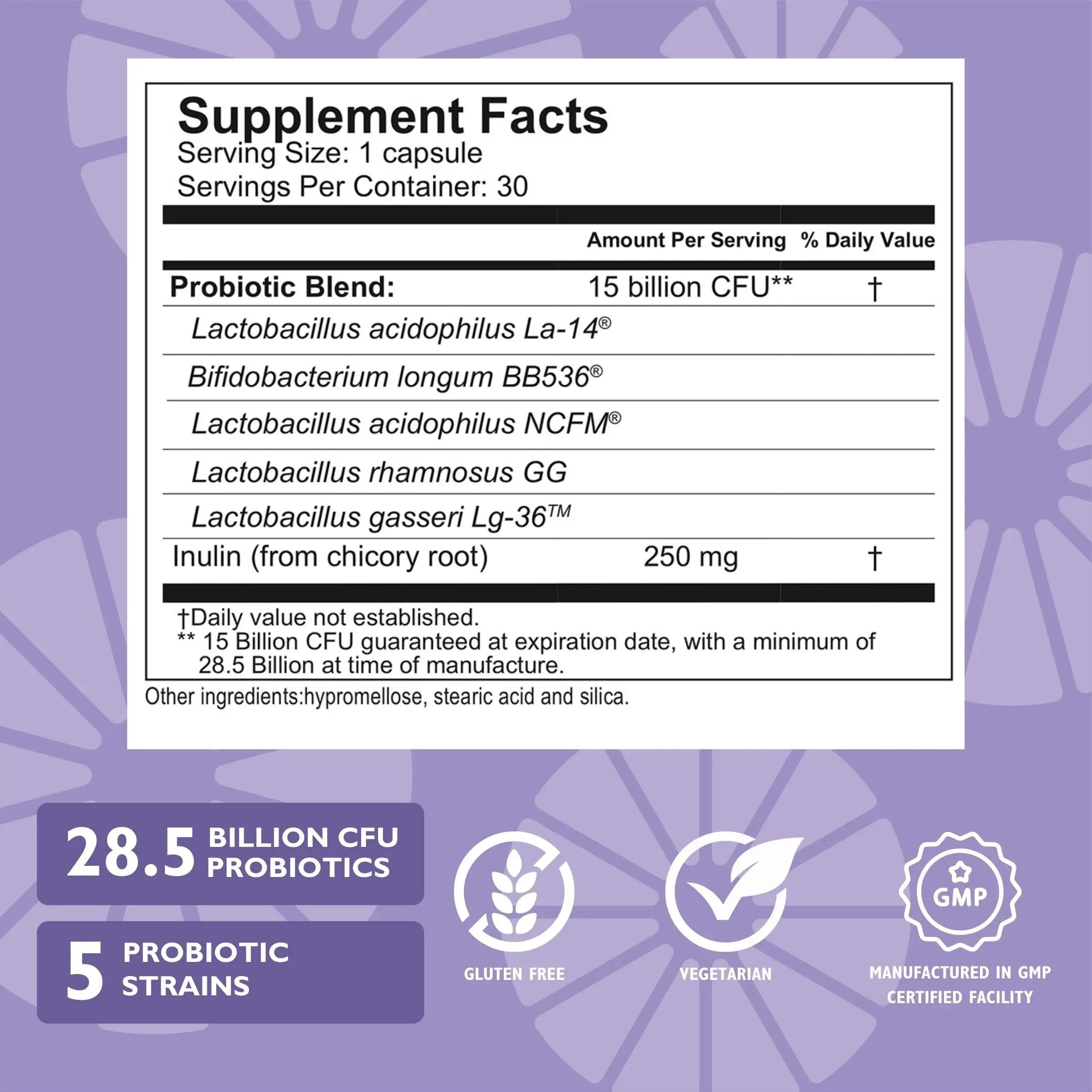Celebrate Bariatric Essentials Bundle – CelebrateONE Multivitamin, Iron with Vitamin C Chewables, & Balance Probiotic + Prebiotic – Complete Nutritional & Digestive Support for WLS Patients Celebrate Bariatric Supplements buy supplements canada