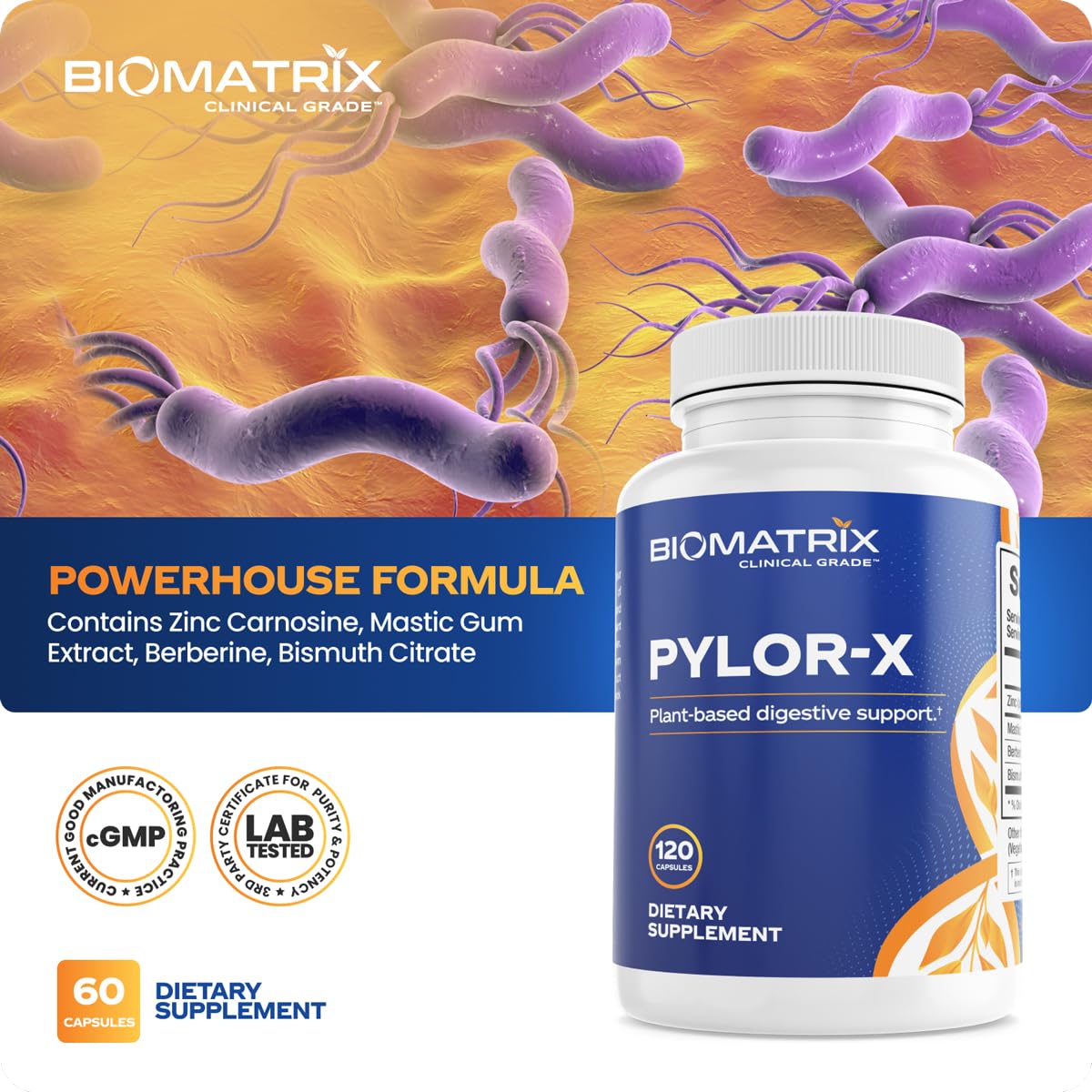 BioMatrix Pylor-X Gut Health Supplement – Mastic Gum, Berberine, Zinc Carnosine & Bismuth Salts for Gastric Support, Digestive Comfort, Stomach Lining Protection - (120 Capsules) 30-60 Day Supply BioMatrix buy supplements canada