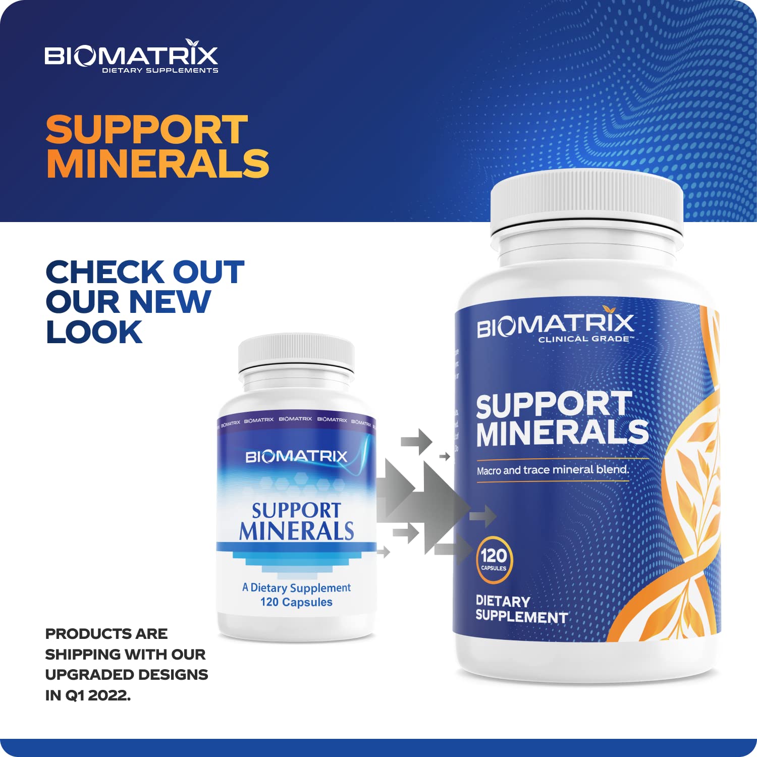 BioMatrix Mineral Supplement for Men and Women, Chelated Minerals | Iron-Free, Calcium, Magnesium, Copper, Zinc, Vitamin D, Iodine | Veggie Caps, 30-Day Supply BioMatrix buy supplements canada